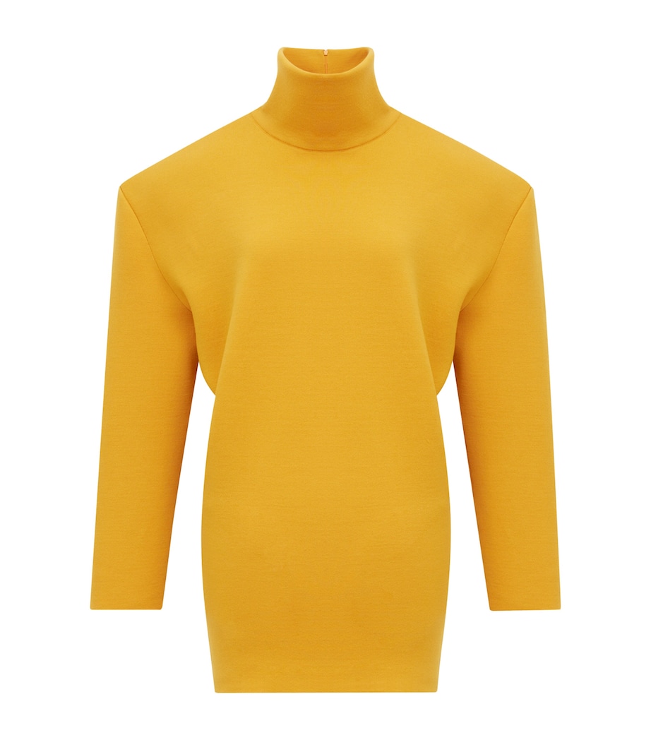 Wool-Blend High-Neck Mini Dress 7629 Image 1