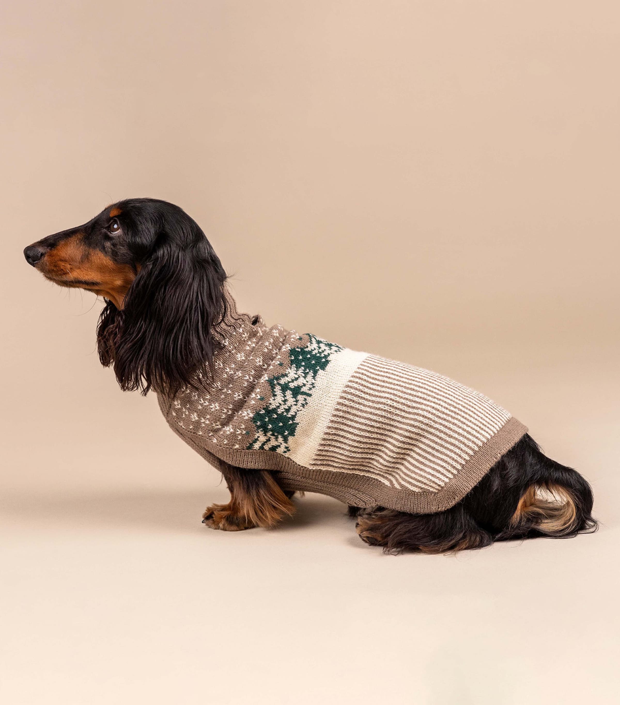 ALQO WASI Alpaca-Blend Frosted Grove Dog Sweater (Small) Frosted Grove Image 4