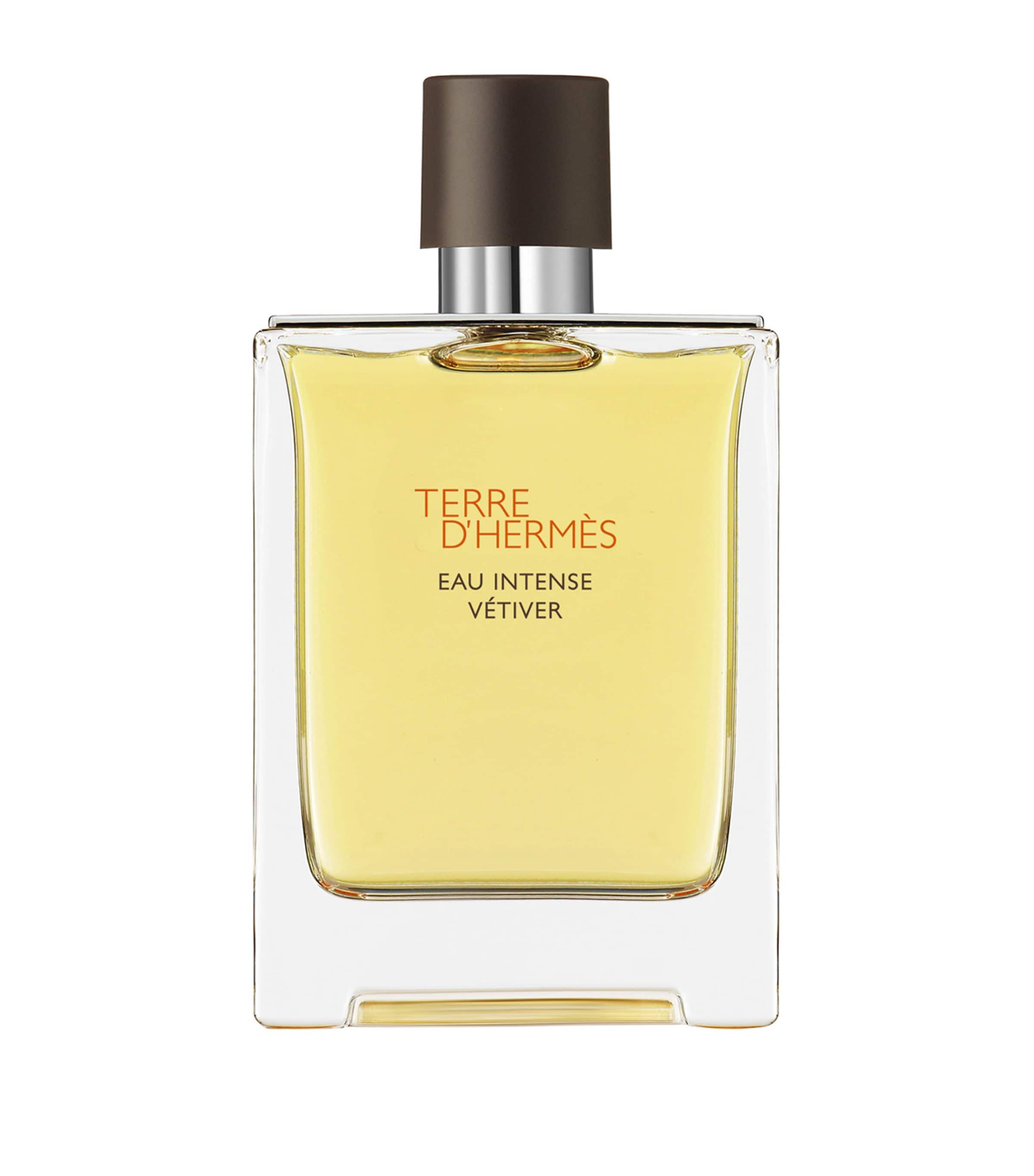 Terre D'Hermès Eau Intense Vétiver Eau de Parfum (100ml) NO COLOUR Image 5