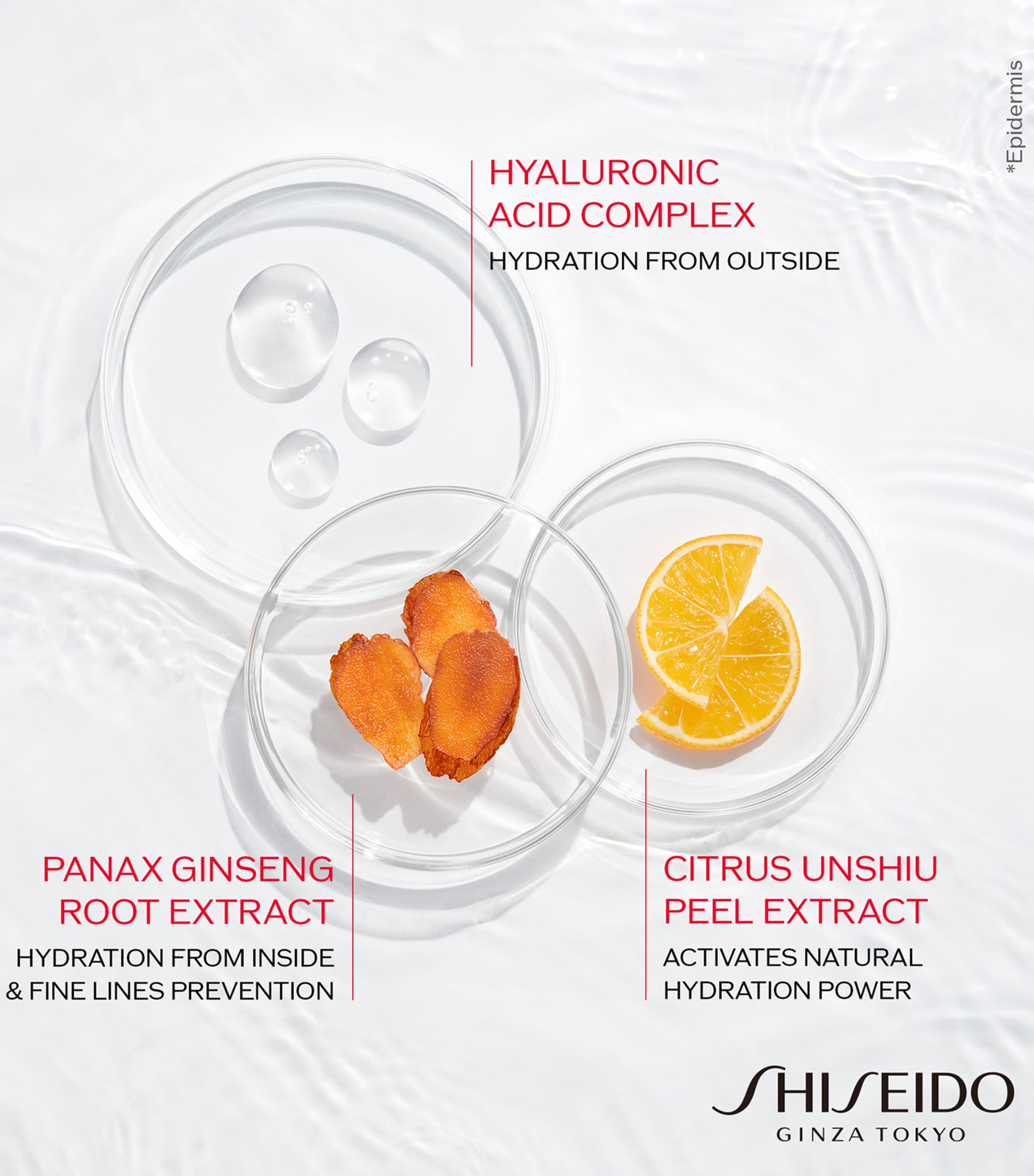 Essential Energy Hydrating Cream SPF 20 (50ml) NO COLOUR Image 4