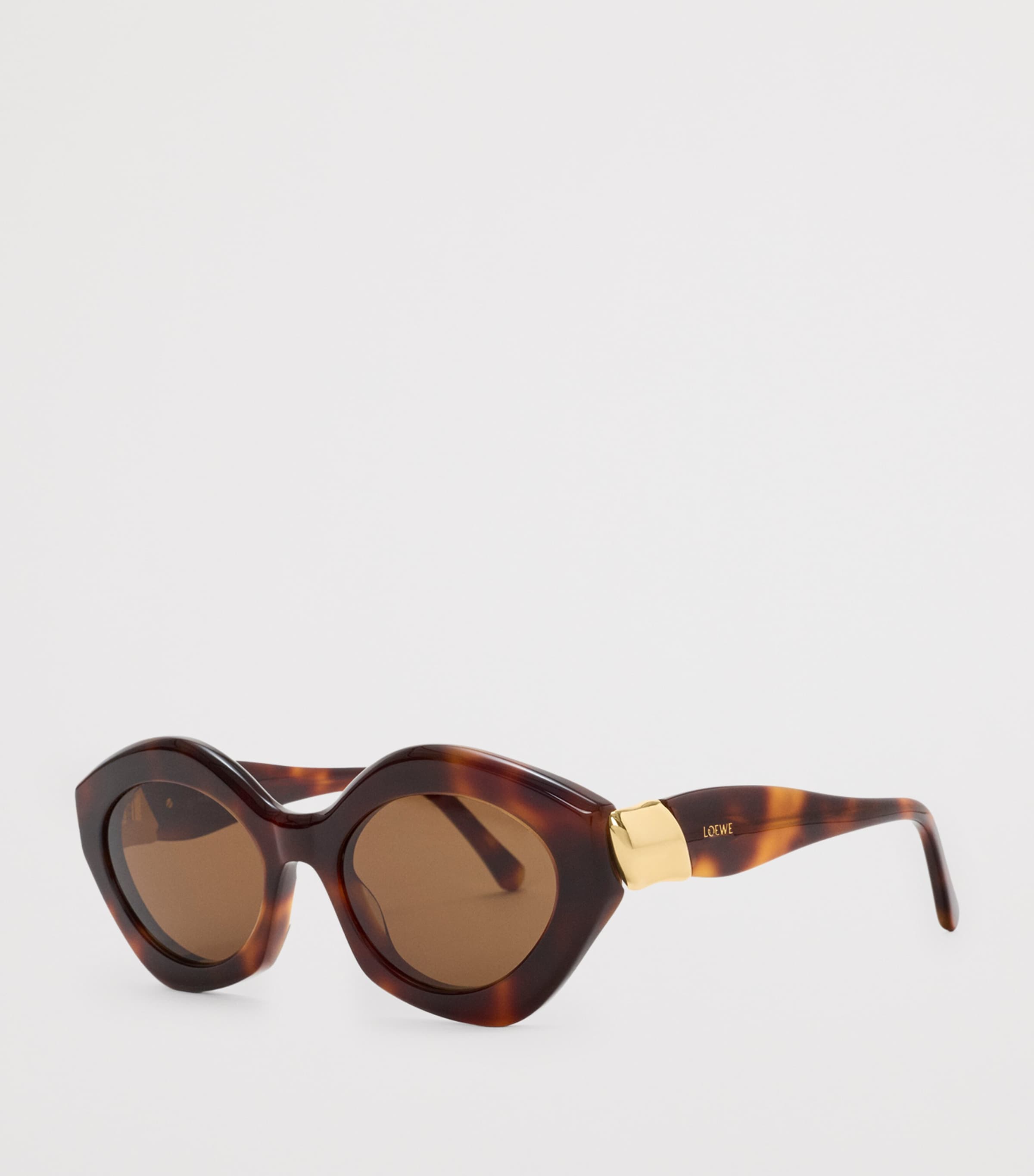 LOEWE Acetate Coil Cat Eye Sunglasses Havana Image 2
