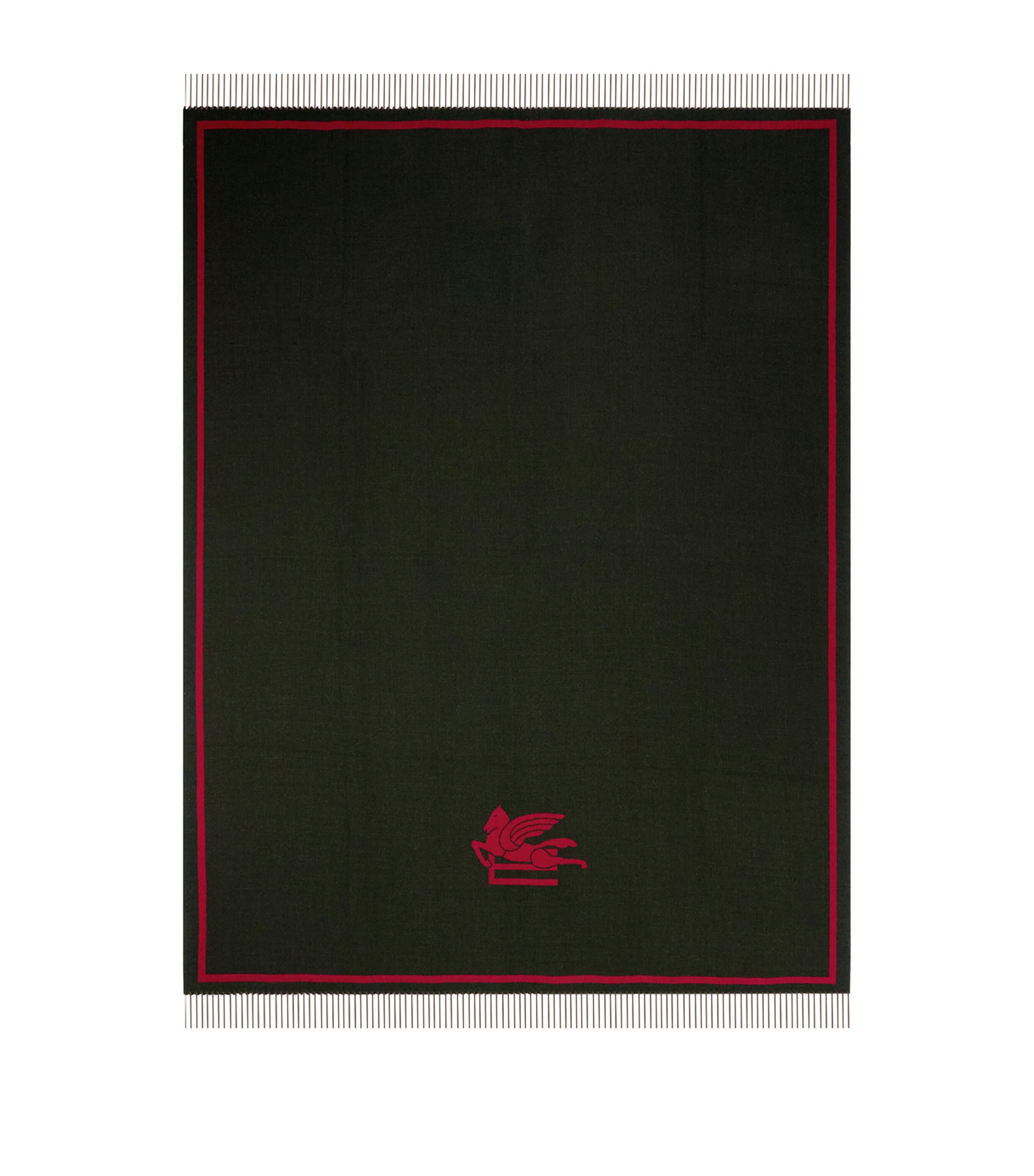 Etro Wool Fringed Boyd Throw In Gray