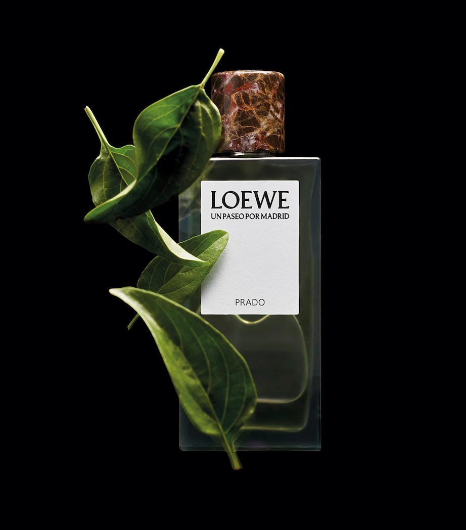 Un Paseo Por Madrid Prado Eau de Parfum (100ml) NO COLOUR Image 5