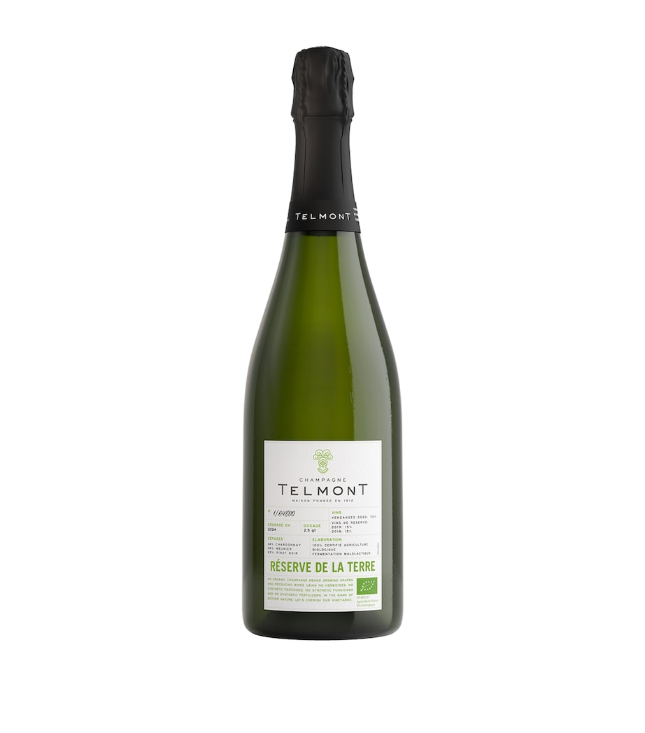 Telmont Reserve De La Terre Organic Champagne (75cl) – Champagne, France NO COLOUR Image 1