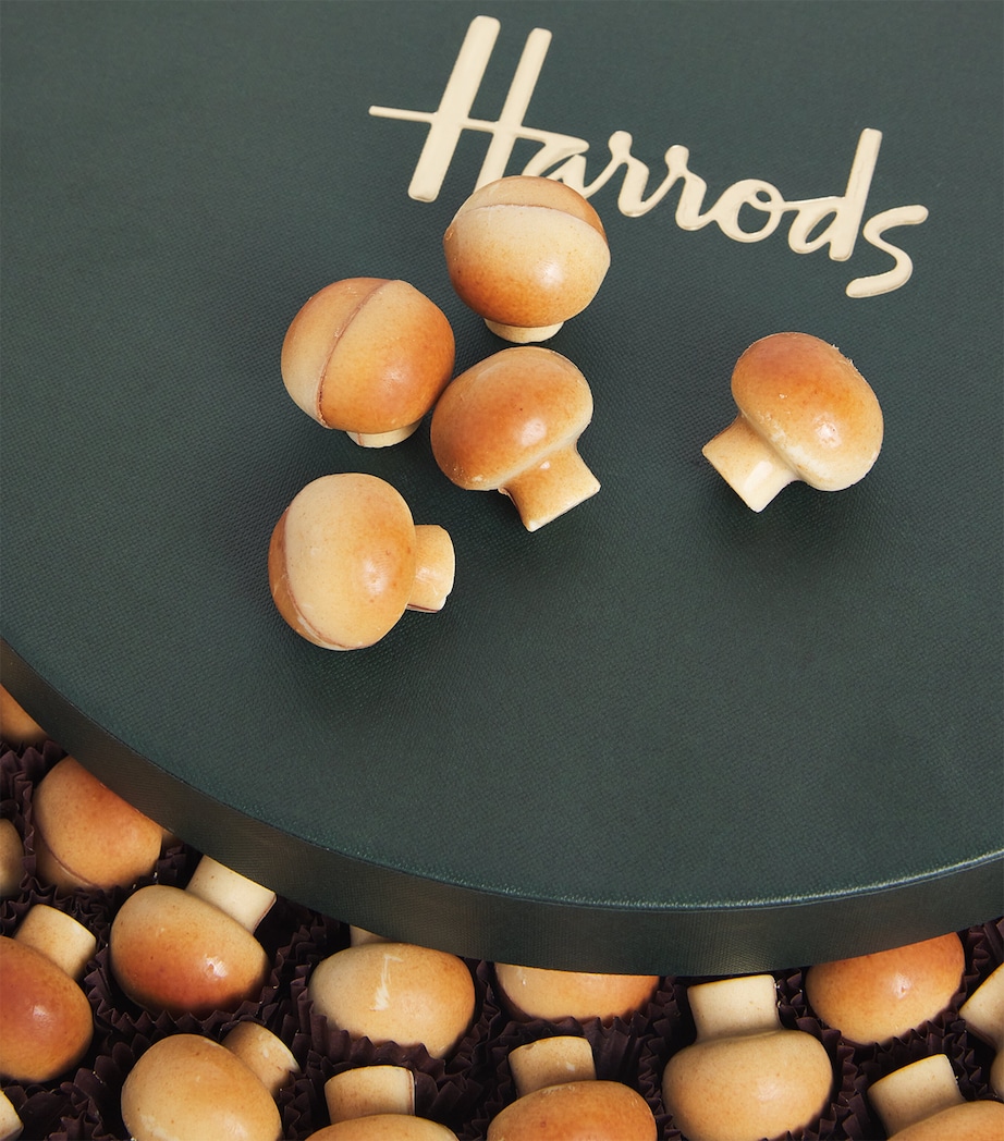 Belgian Supreme Chocolate Selection (1kg) NO COLOUR Image 3