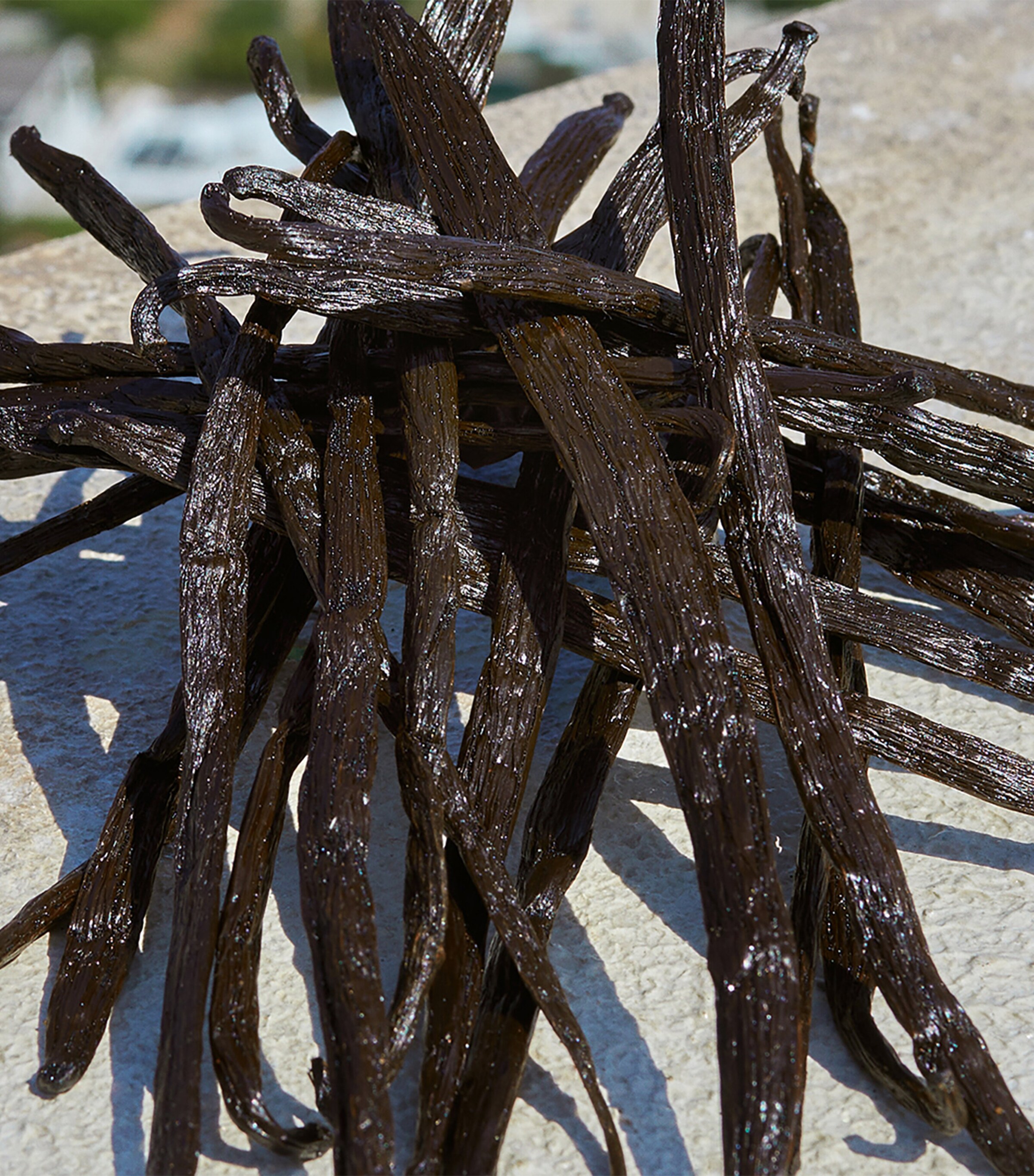 Devotion Eau de Parfum (50ml) NO COLOUR Image 8