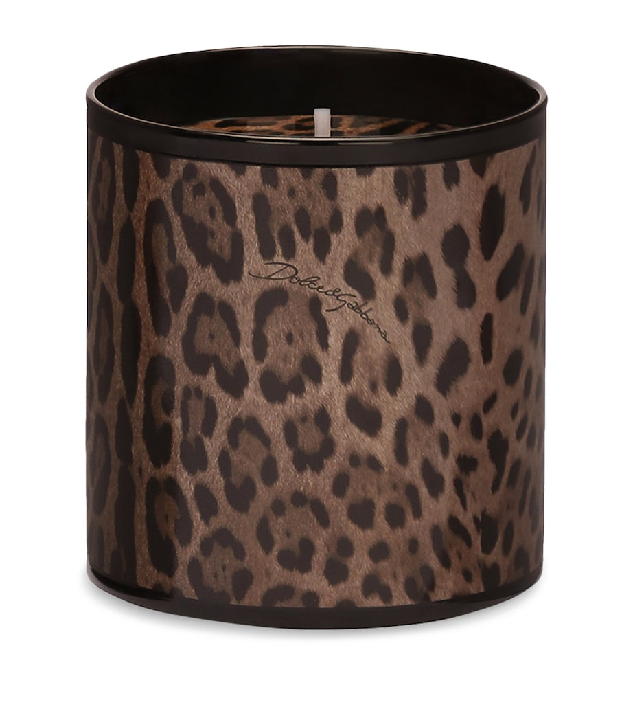 Dolce&Gabbana Casa Leopardo Patchouli Candle (380g) Patchouli Image 1