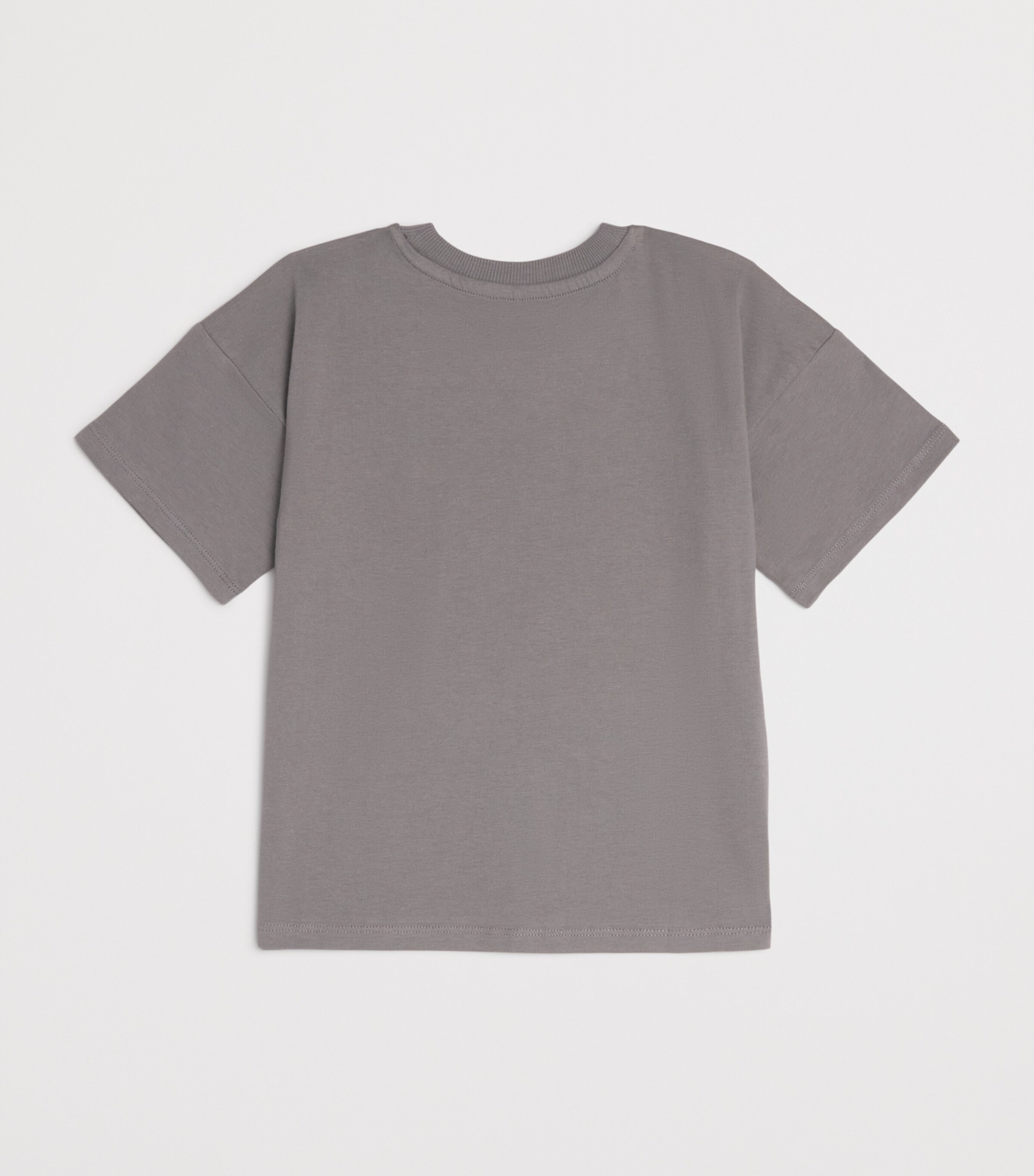 Organic Cotton Dino Graphic T-Shirt (3-11 Years) GREY Image 2