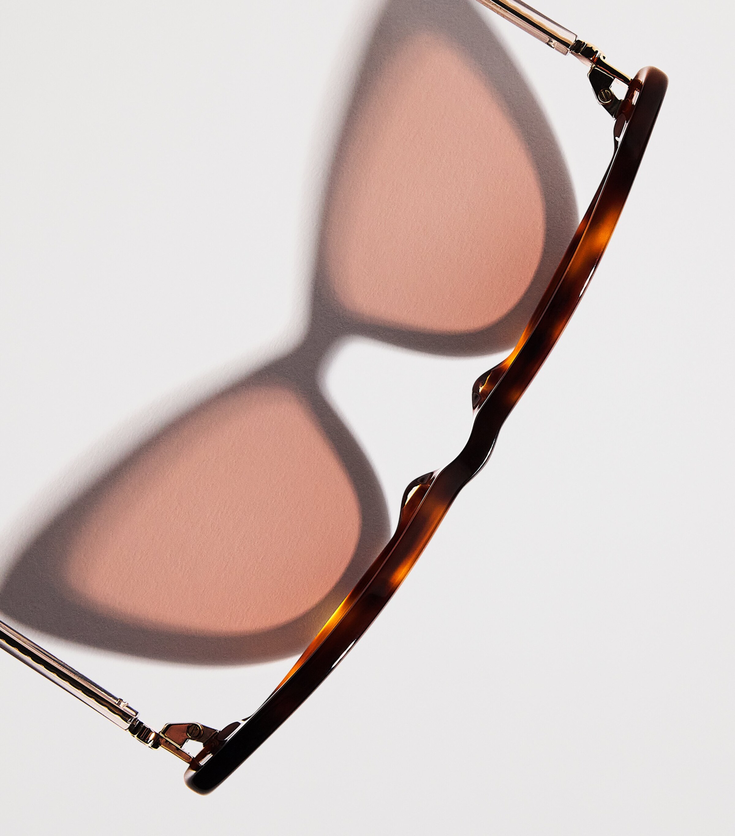 Acetate Cat Eye Sunglasses SCALE Image 5