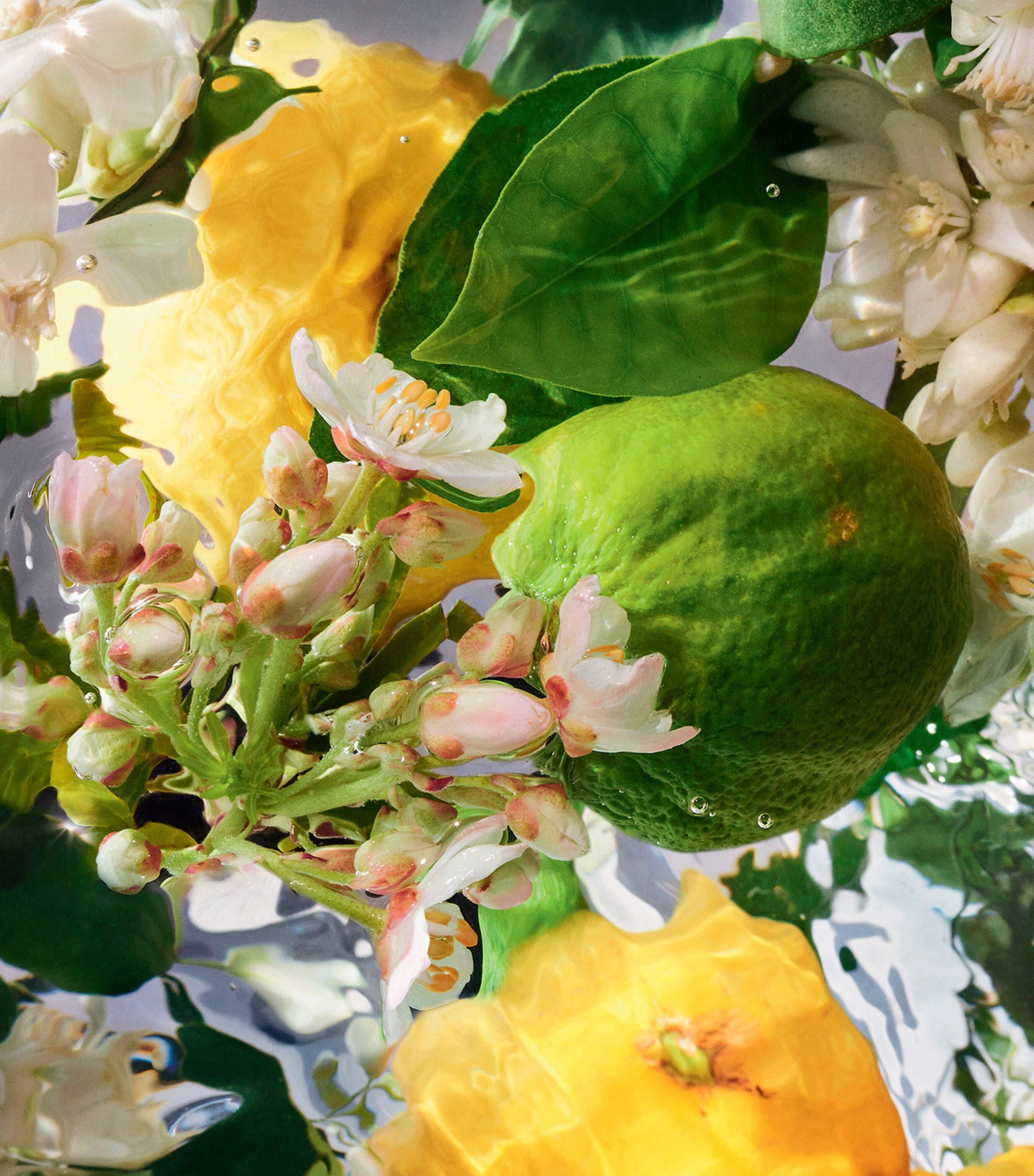 Aqua Allegoria Shower Gel (200ml) NO COLOUR Image 2