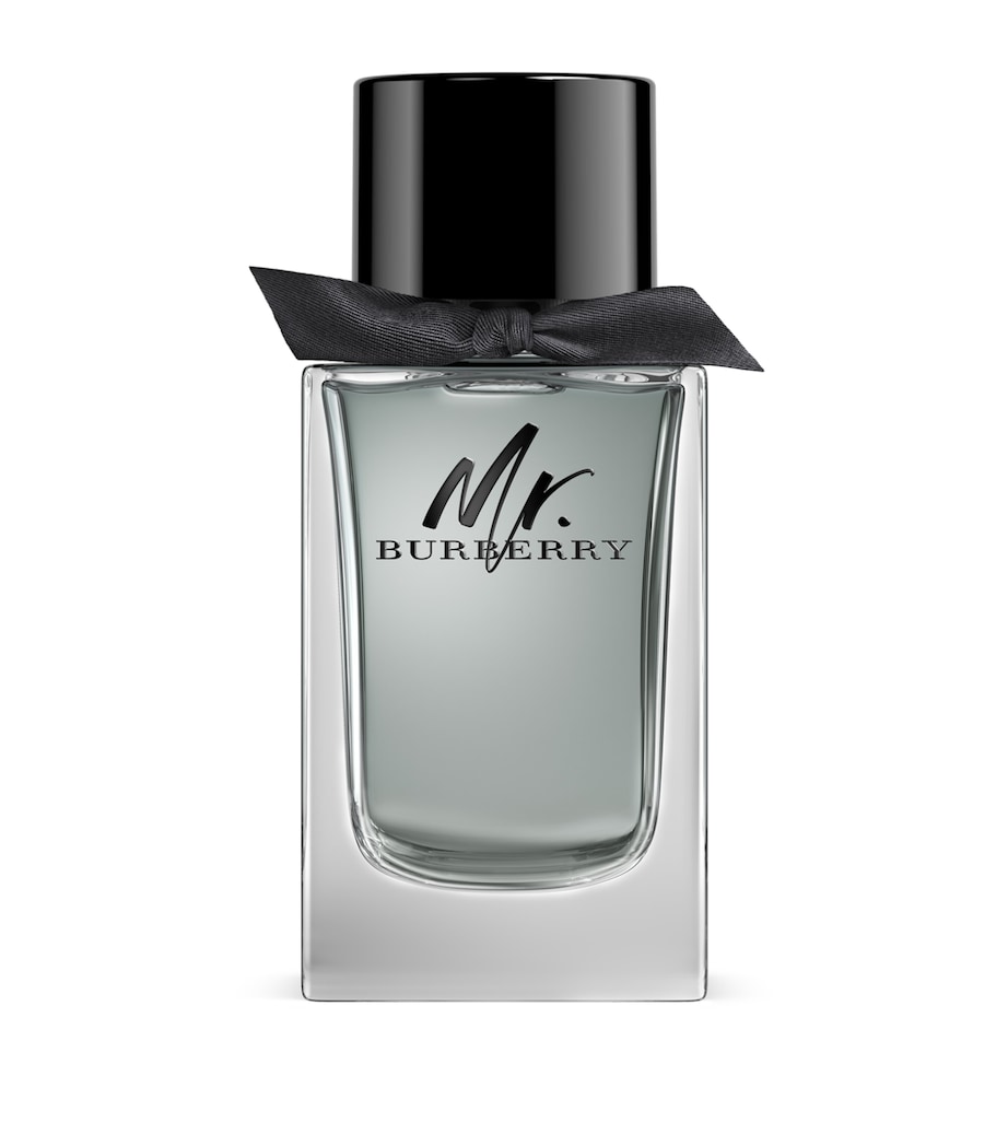 Mr. Burberry Eau de Toilette (150ml) NO COLOUR Image 1