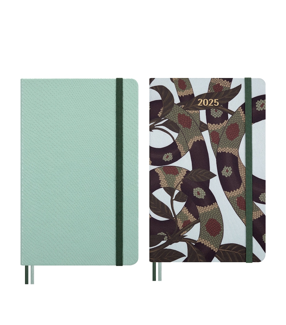 Year of the Snake Notebook and 12-Month Planner Box GREEN Image 1