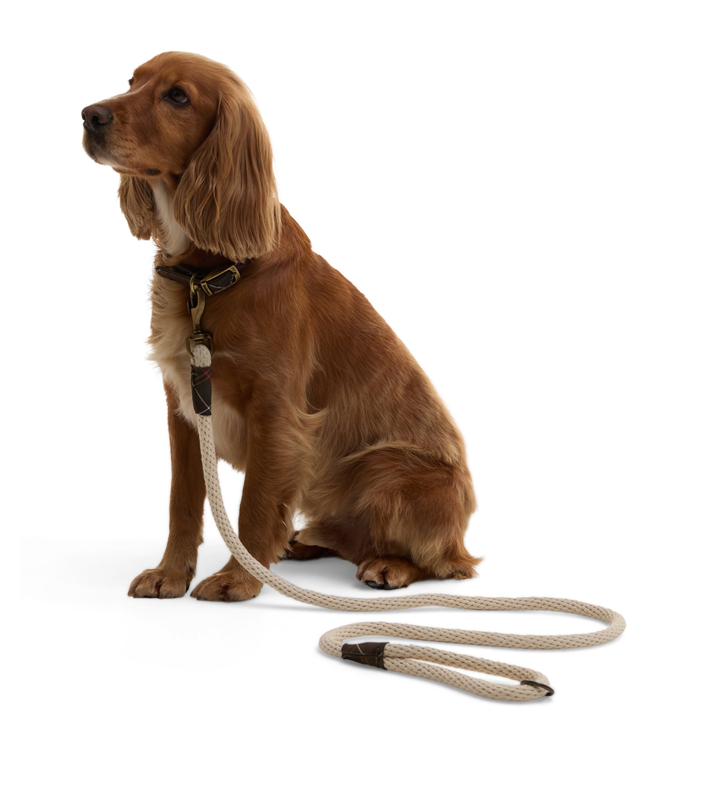 Barbour Cotton Rope Dog Lead Neutral Image 2