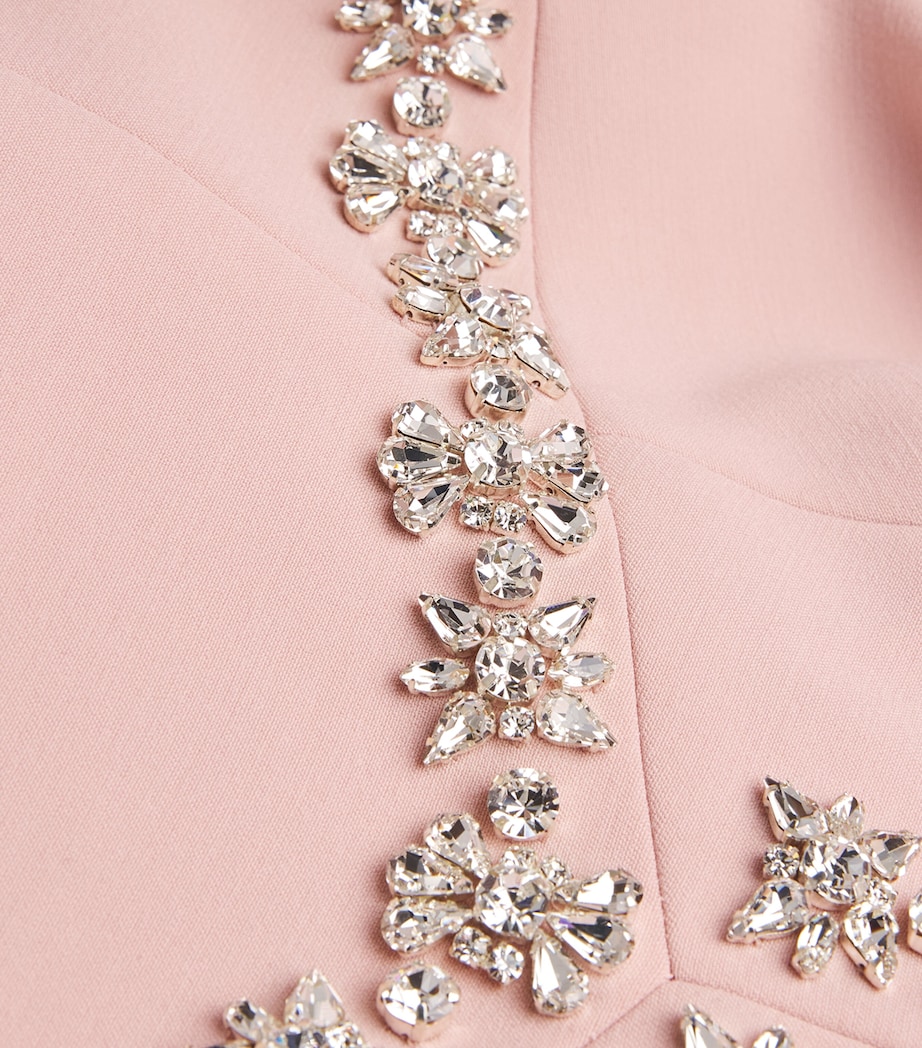 Embellished Myrna Maxi Dress PALE PINK Image 5