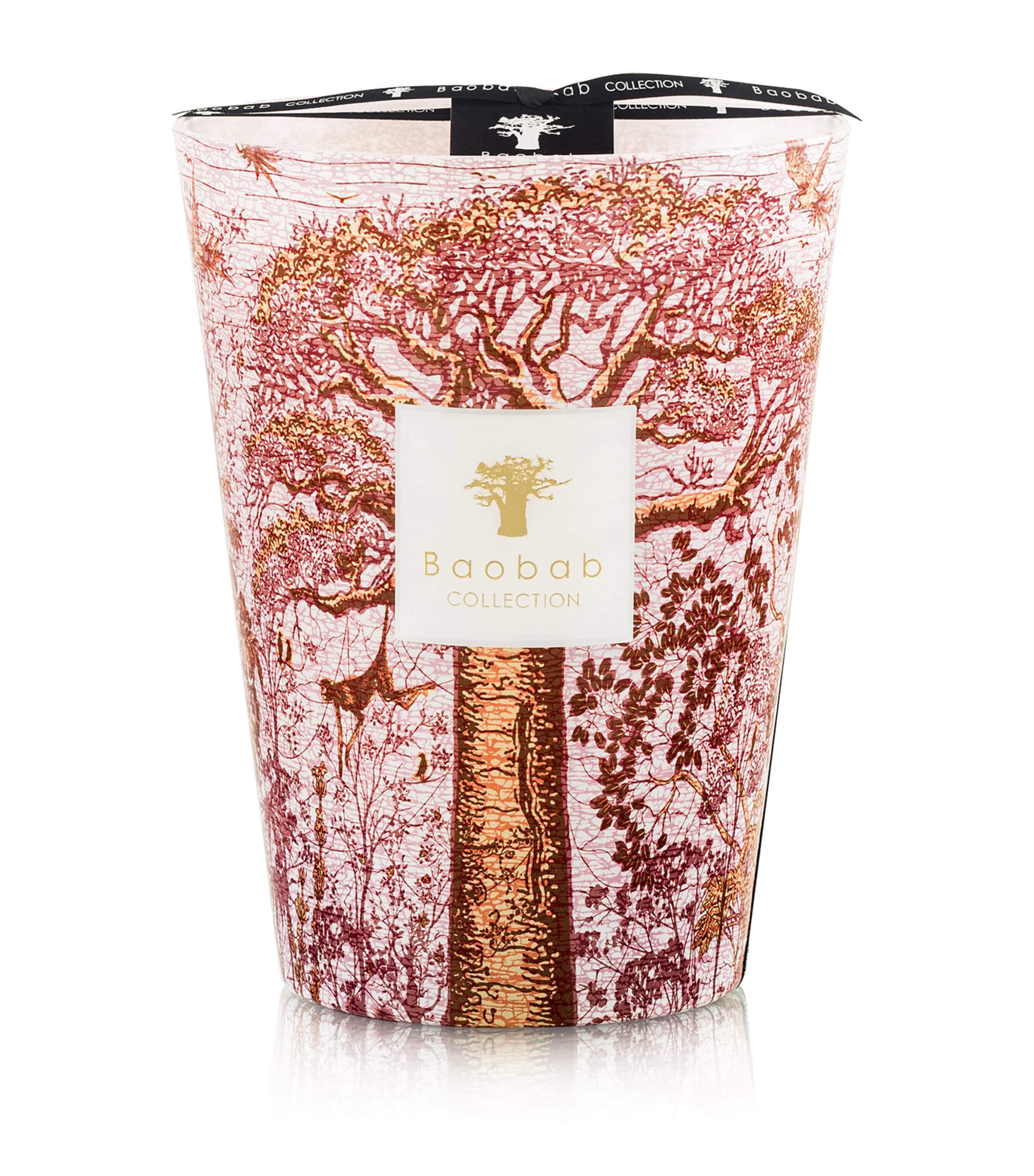 Baobab Collection Woroba Candle In Multi