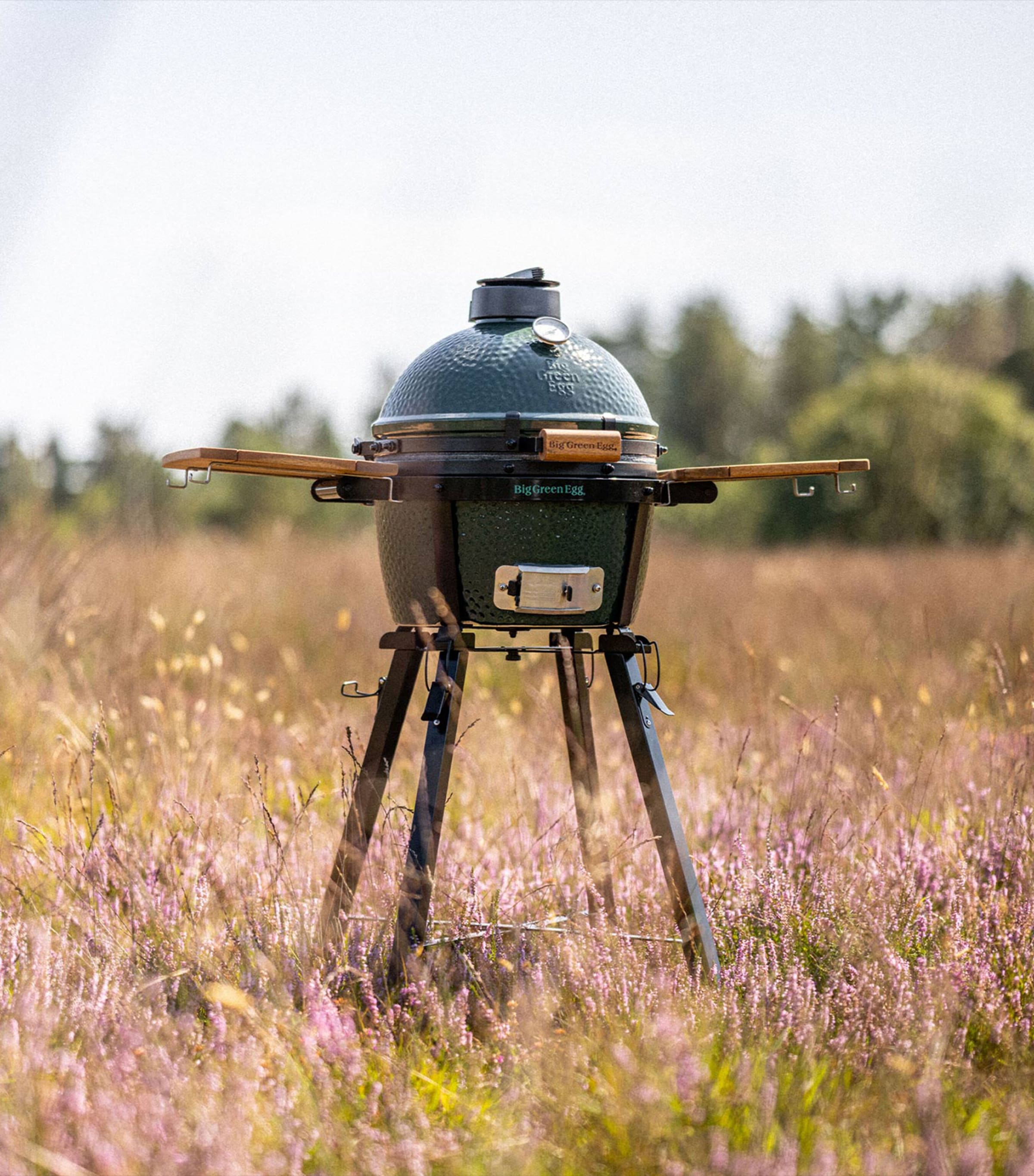 MiniMax Big Green Egg GREEN Image 3