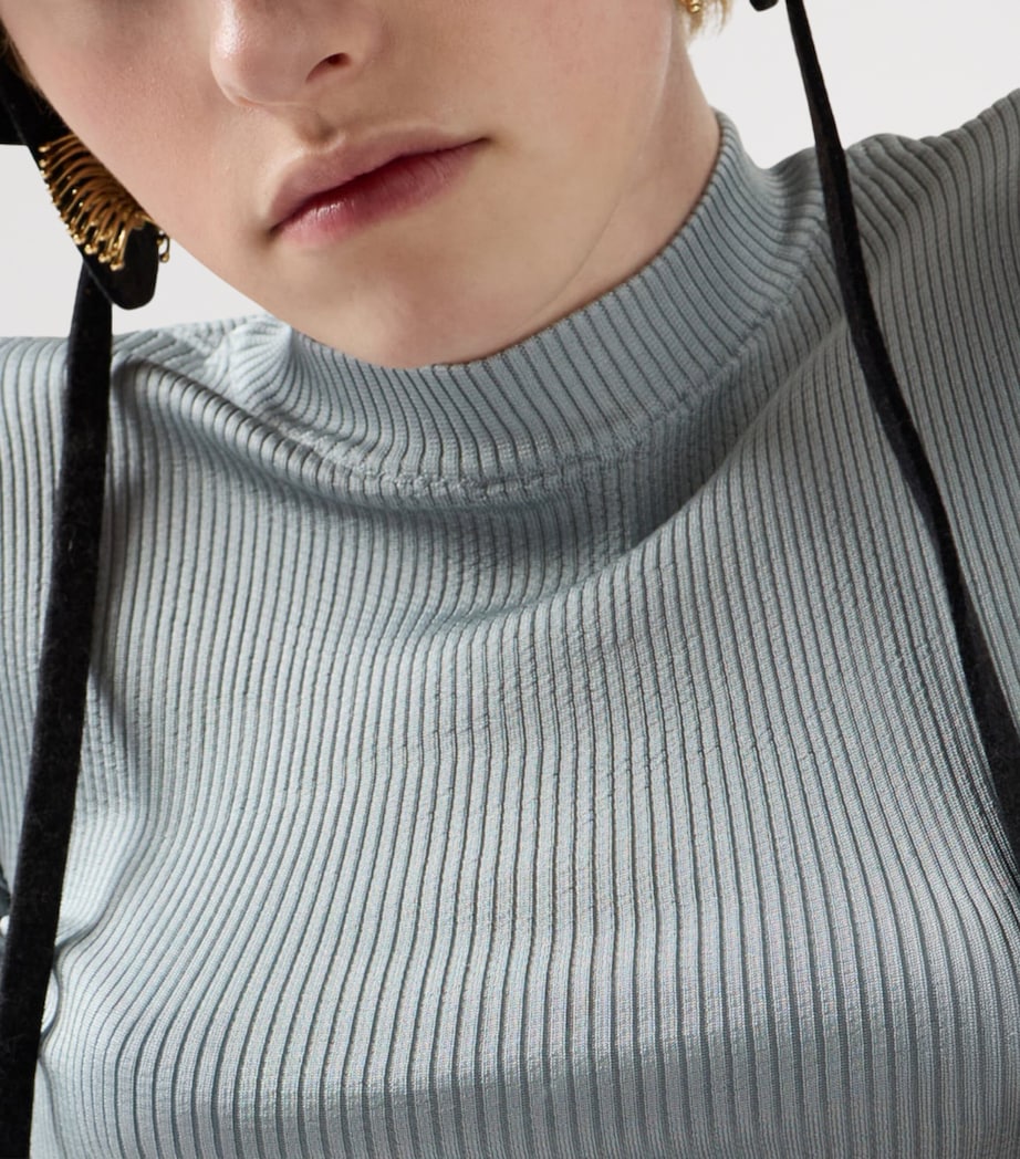 Silk Rib-Knit Dress F0M10 Image 4