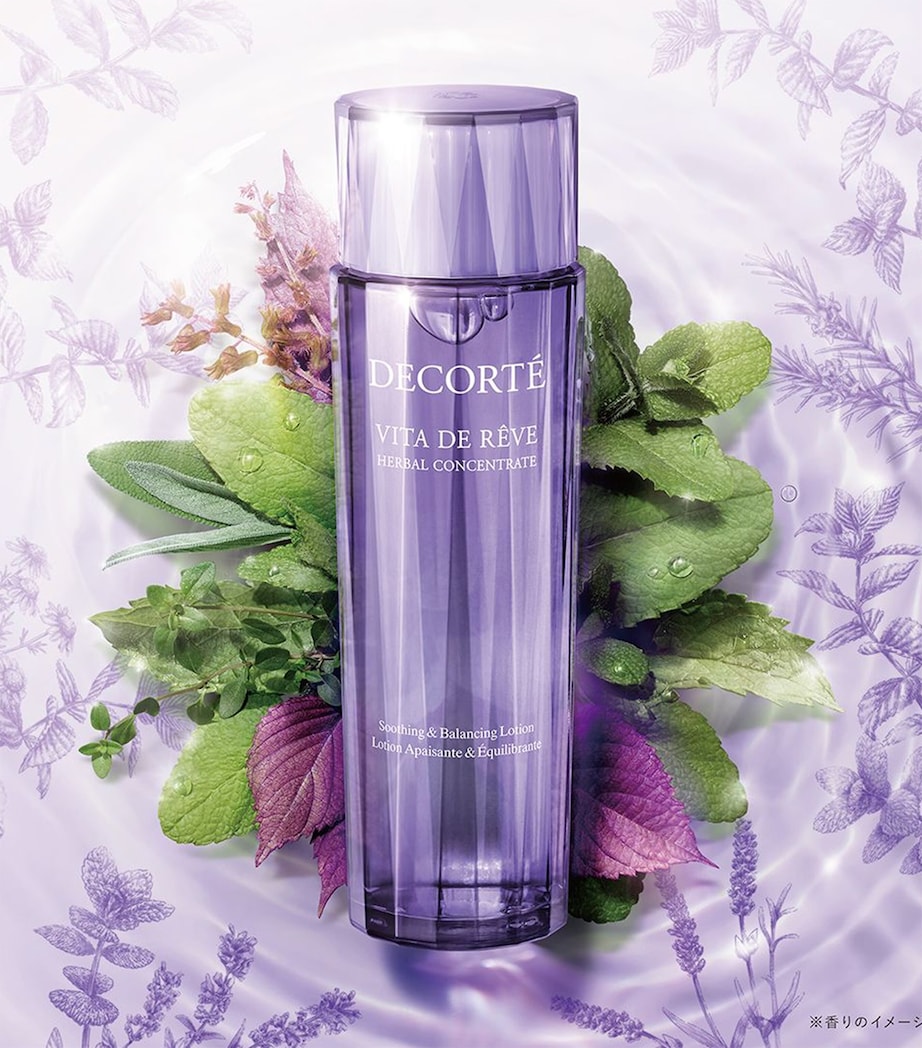 Vita de Reve Herbal Concentrate (300ml) NO COLOUR Image 2