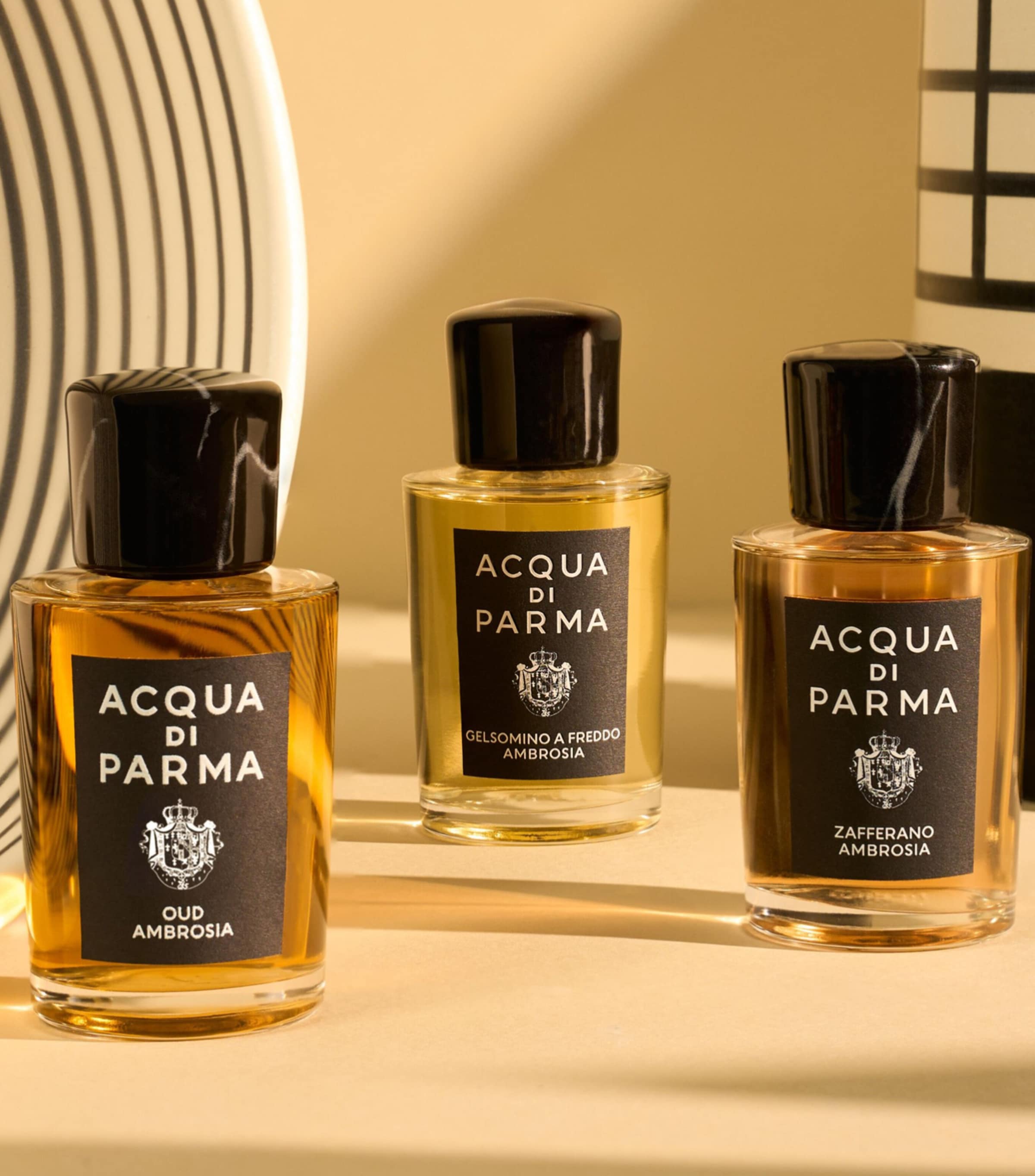Acqua di Parma Oud Ambrosia Eau de Parfum (50ml) Image 6