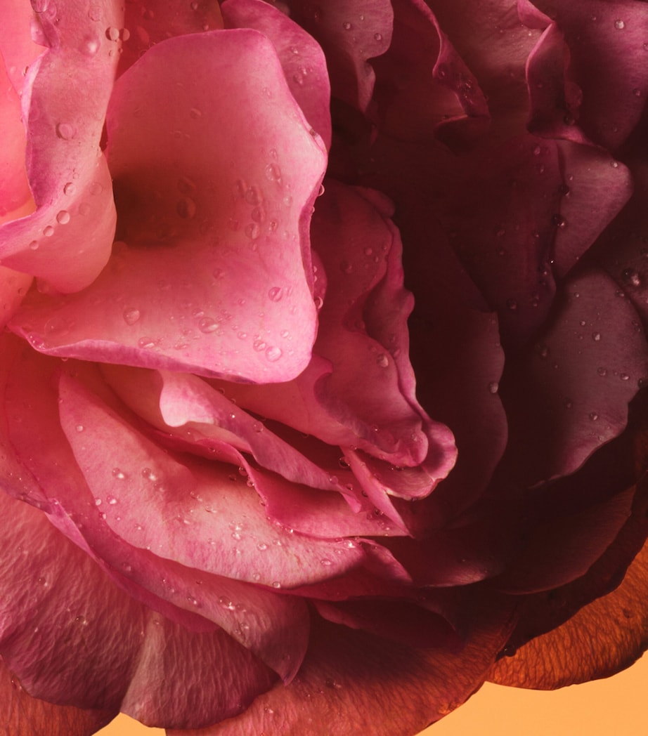 The Alchemist’s Garden Rosa Sublime Eau de Parfum (100ml) NO COLOUR Image 4