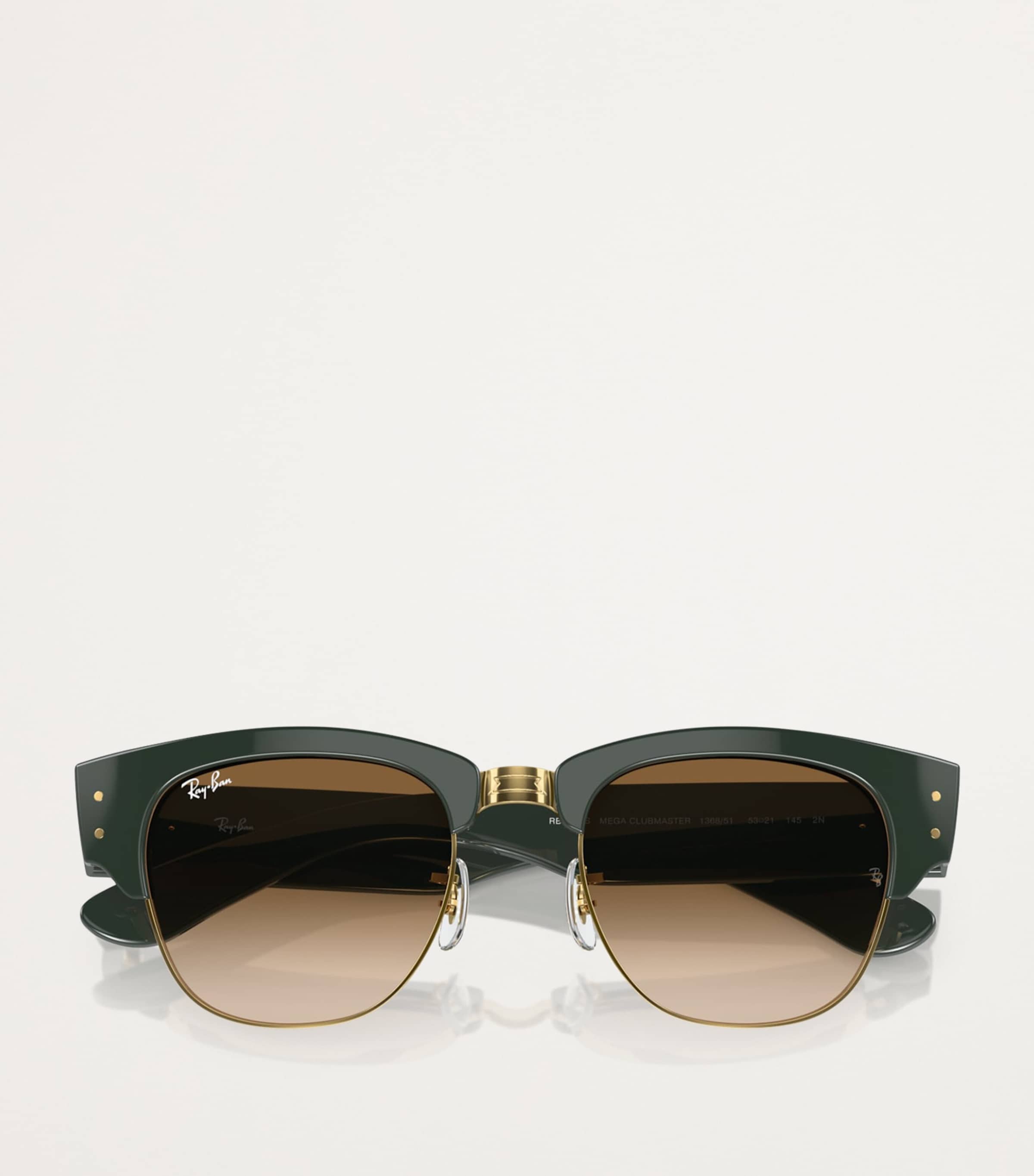 Ray-Ban Propionate 0RB0316S Sunglasses Image 5