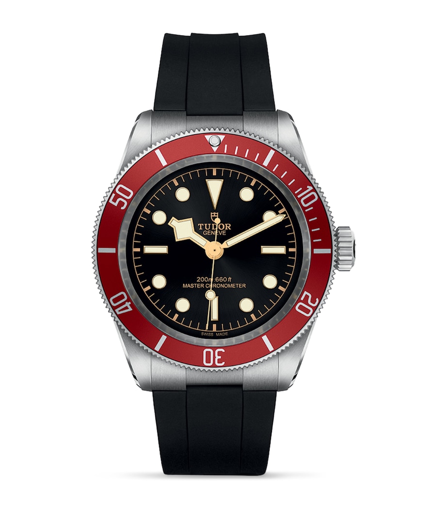 TUDOR Stainless Steel Black Bay Watch 41mm Black Image 1