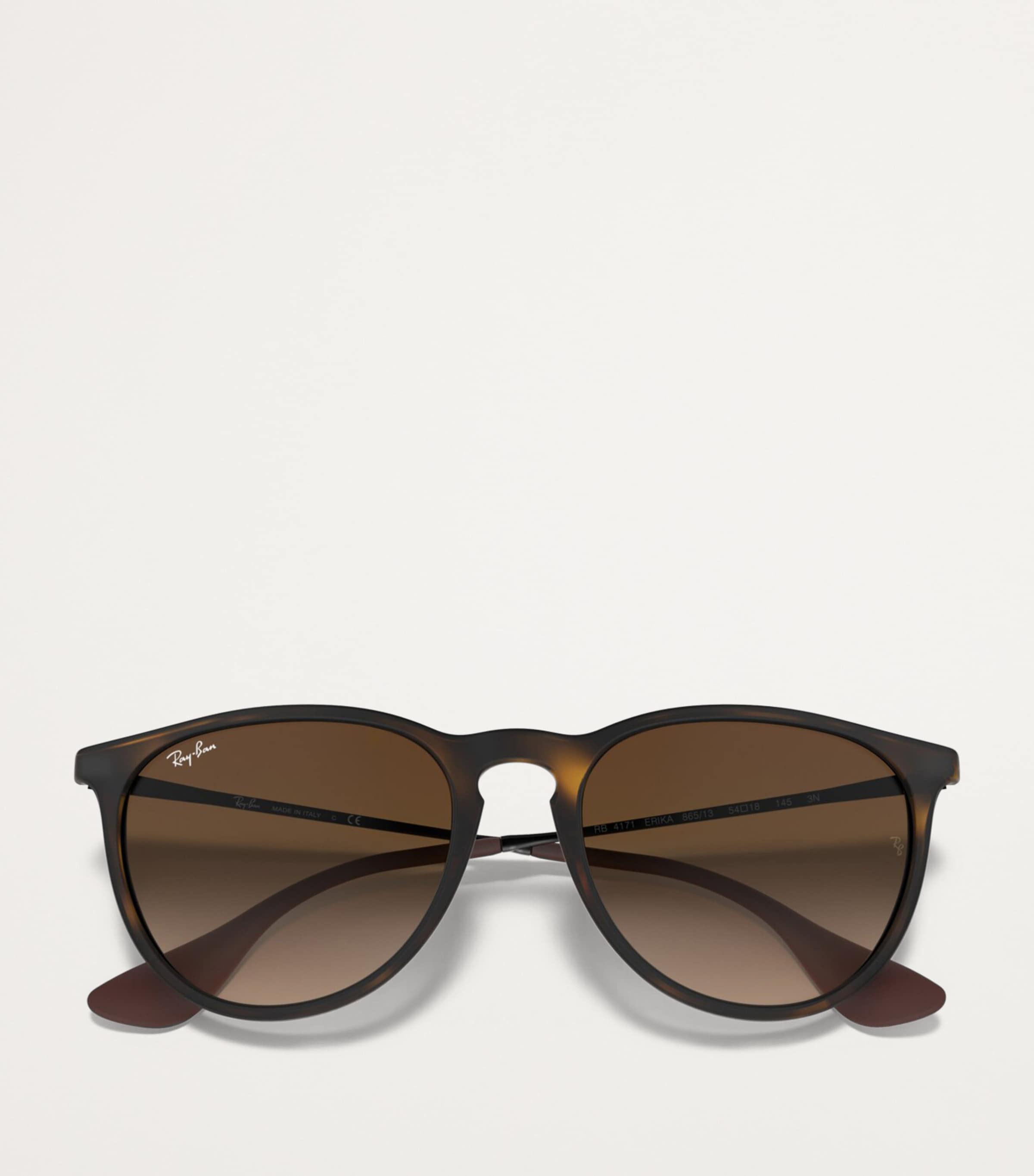 Ray-Ban RB4171 Erika Classic Image 5