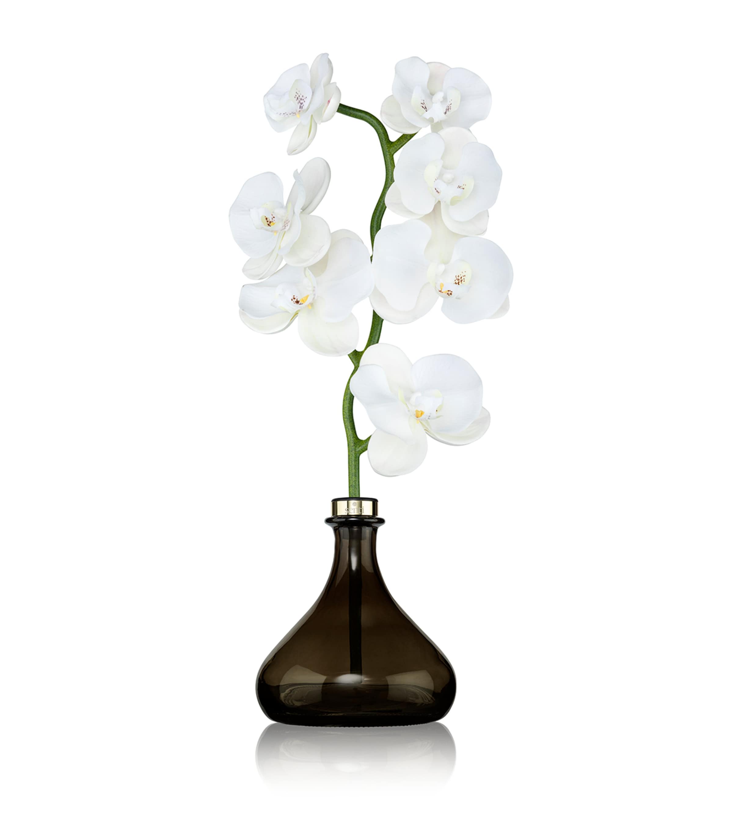 Senti Orchid Amber And Oud Diffuser