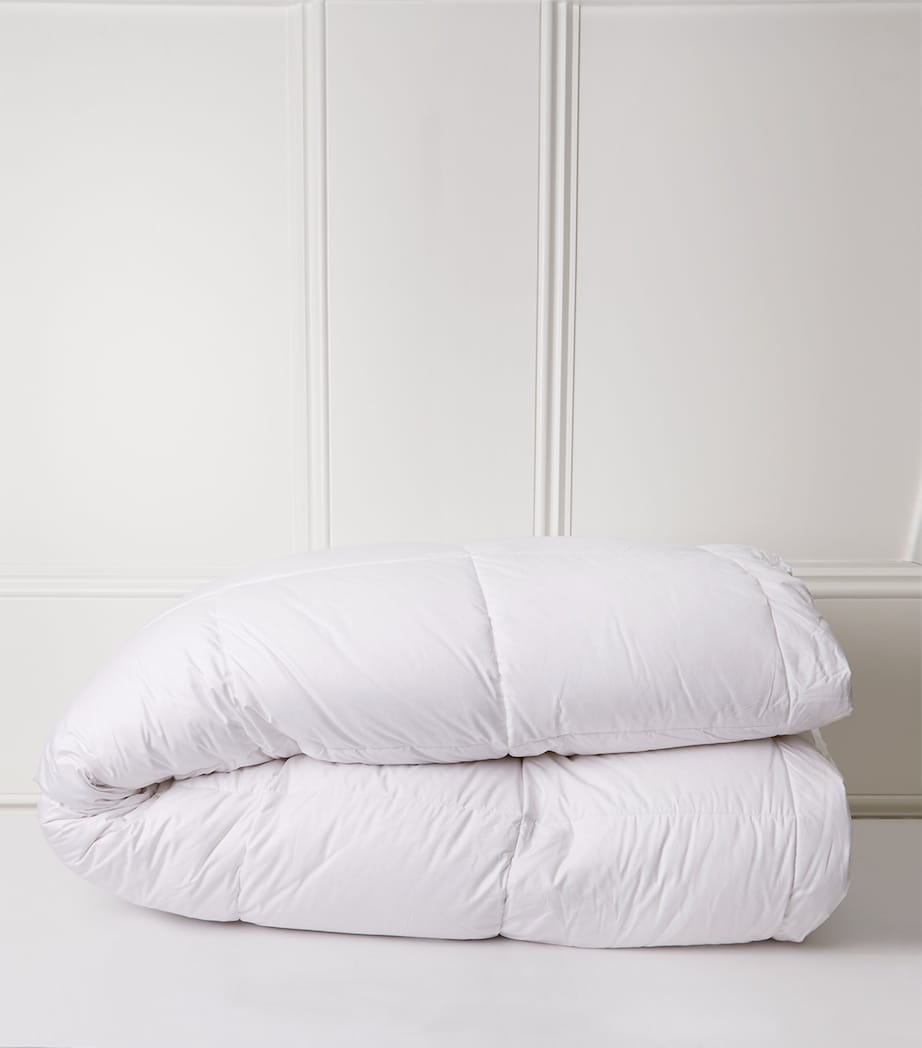 Brinkhaus Excellent Mazurian Goose Down Mattress Topper White Image 3
