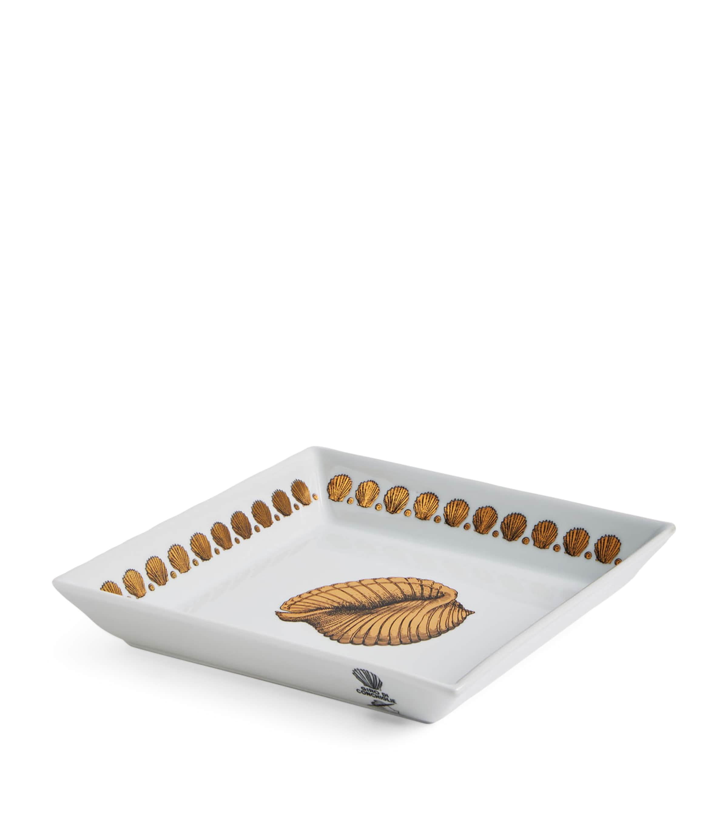 Square Giro di Conchiglie Plate (20cm x 20cm) MULTI Image 3