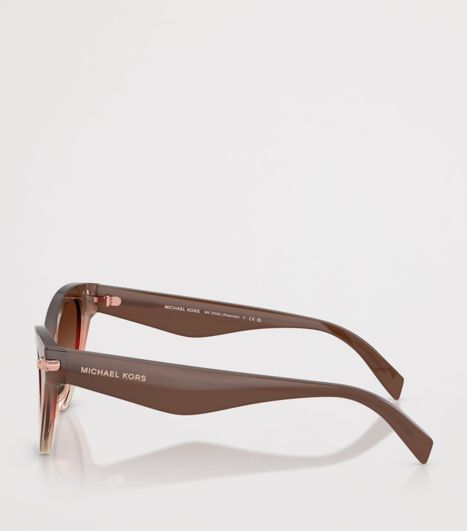 Michael Kors Roanoke Cat Eye Sunglasses Pink Image 3