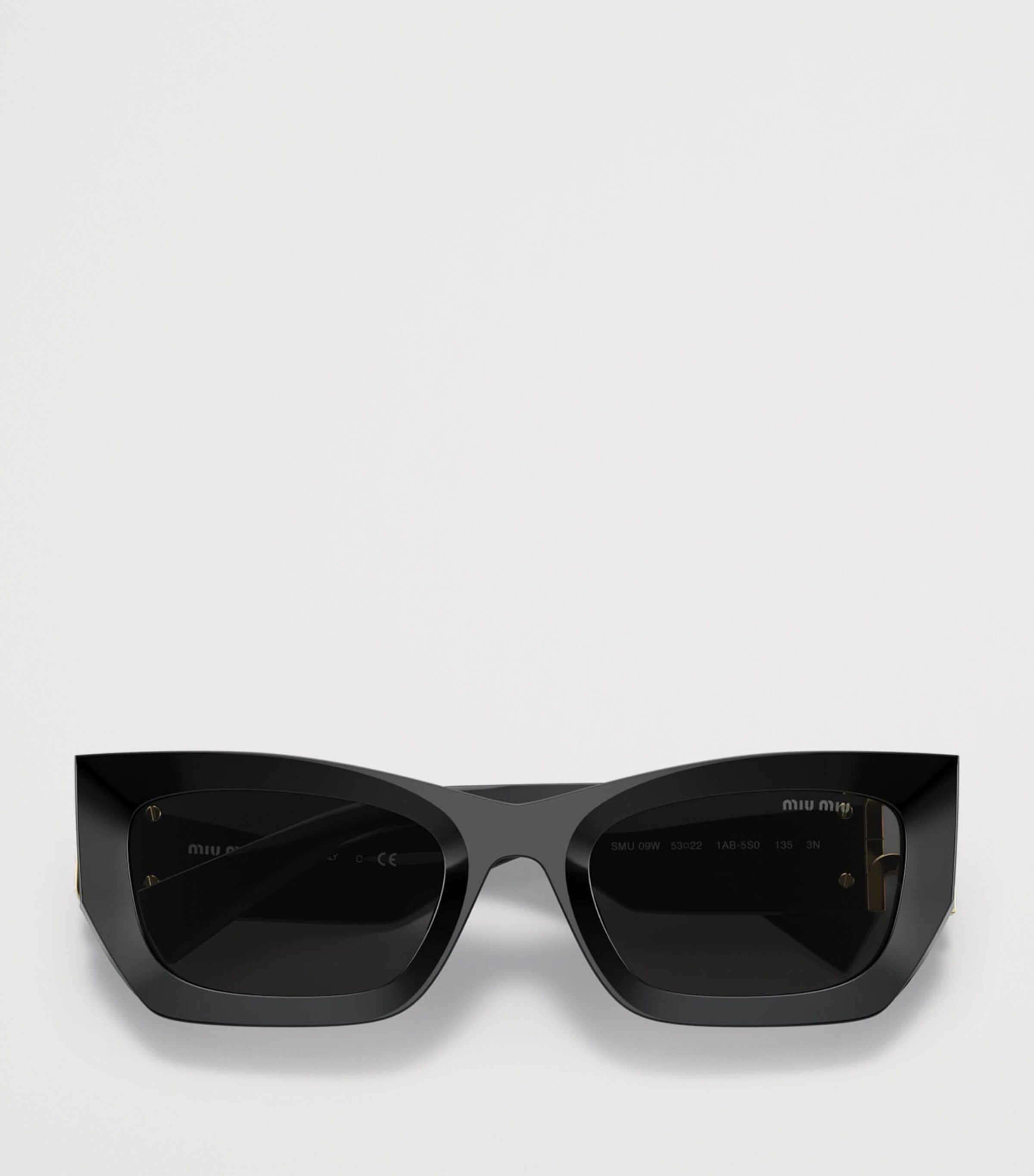 Miu Miu Acetate Runway Rectangle Sunglasses Image 5