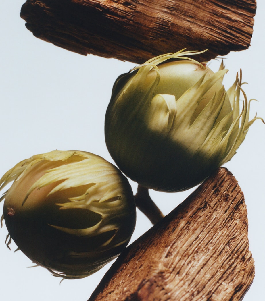 English Oak & Hazelnut Cologne NO COLOUR Image 3