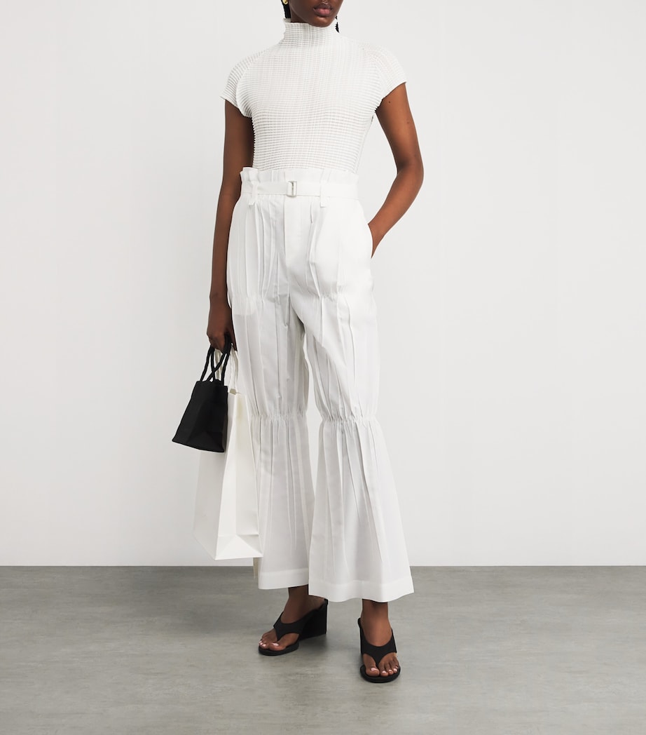 Wooly Pleats Top 1 Image 2