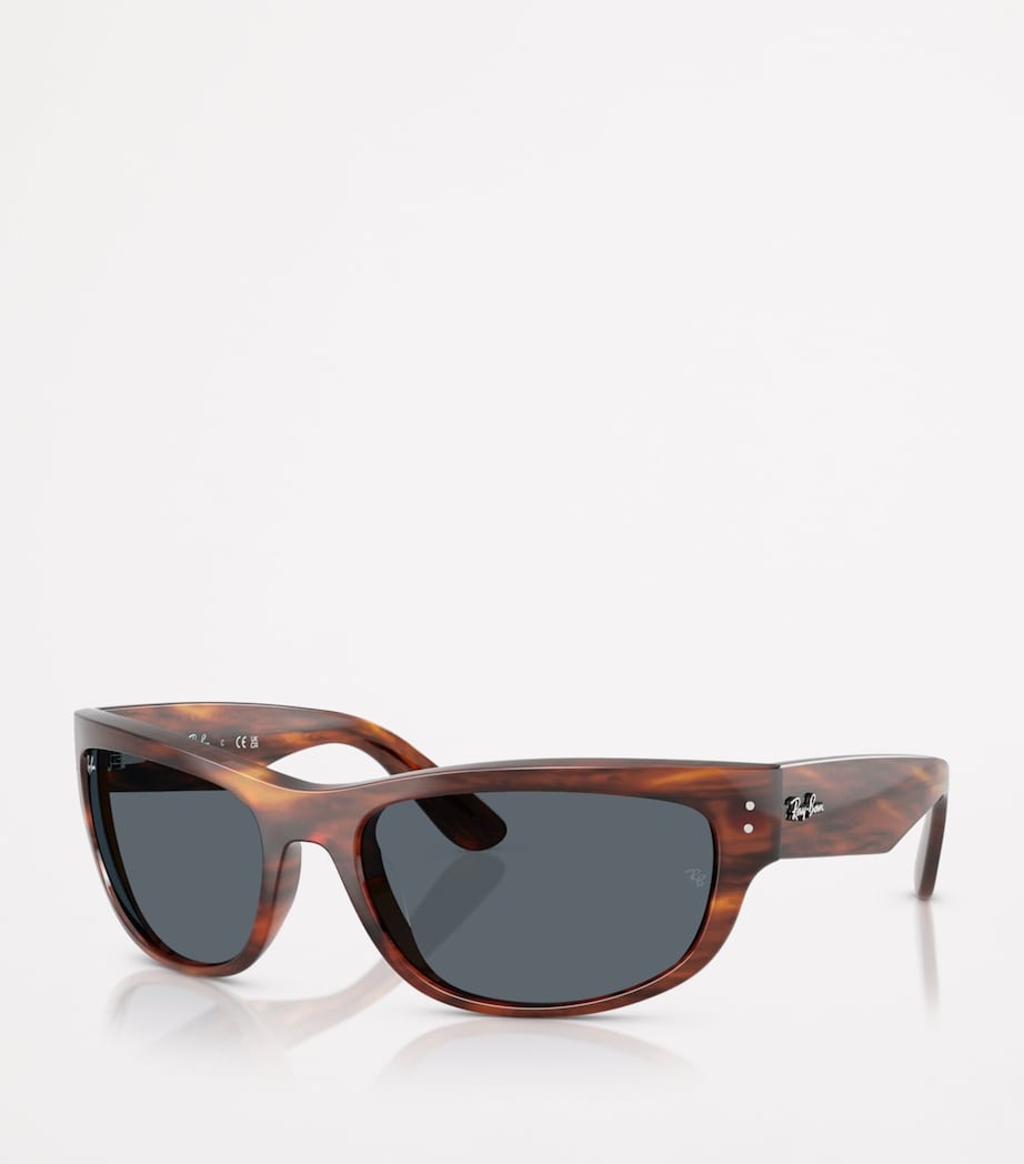 RB2289 Mega Balorama Sunglasses 954/R5 Image 2