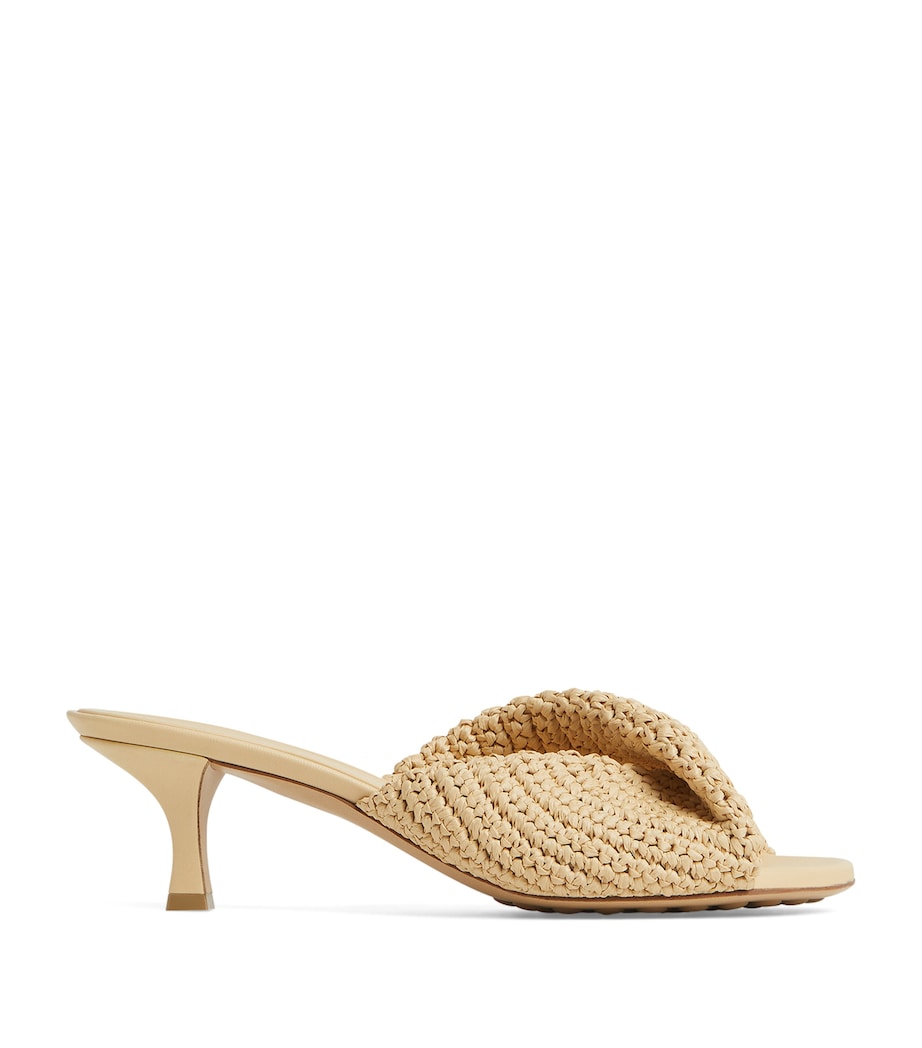 Raffia Blink Mules 50 9218 Image 1