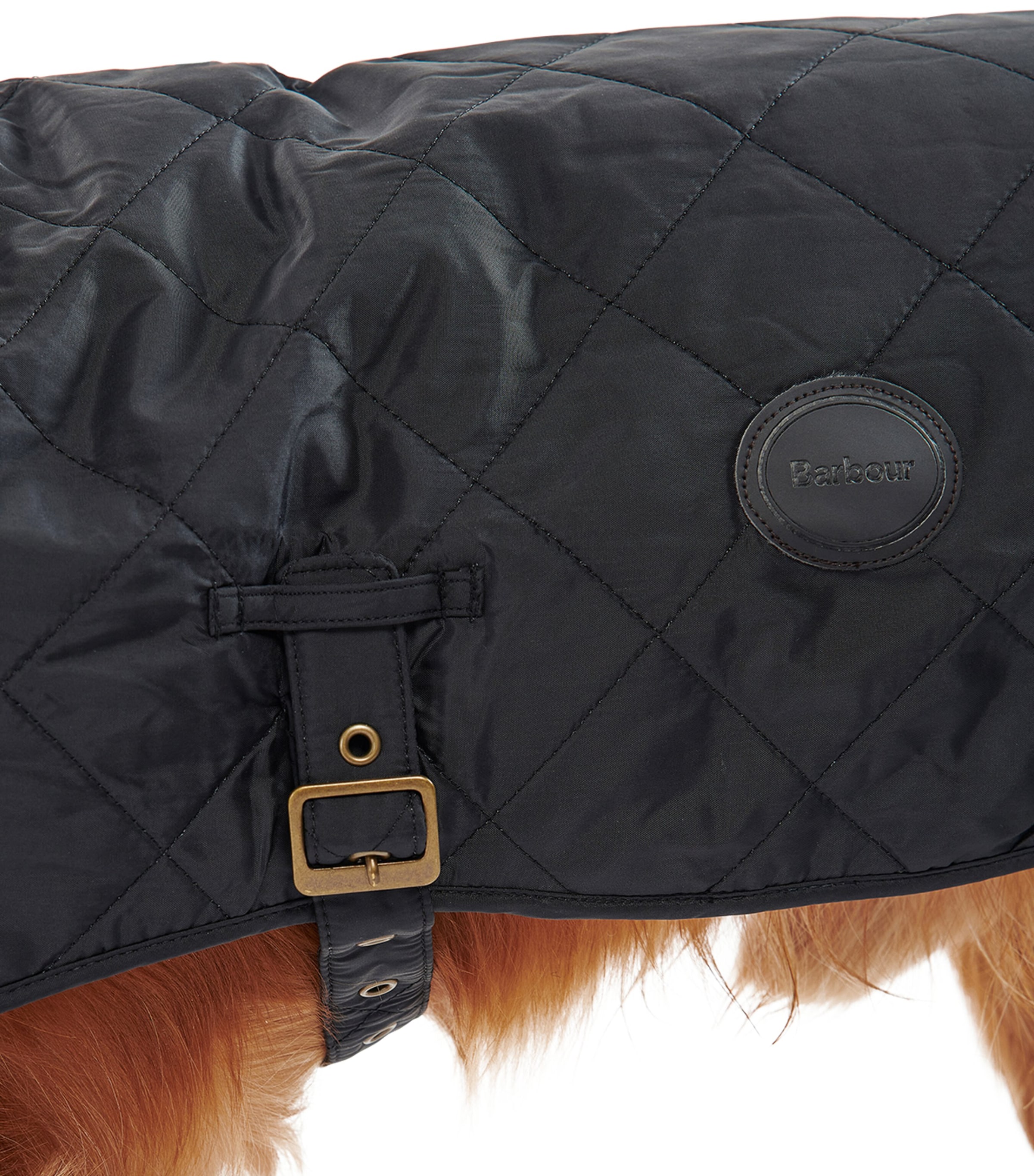 Quilted Dog Coat (S) BLACK Image 2