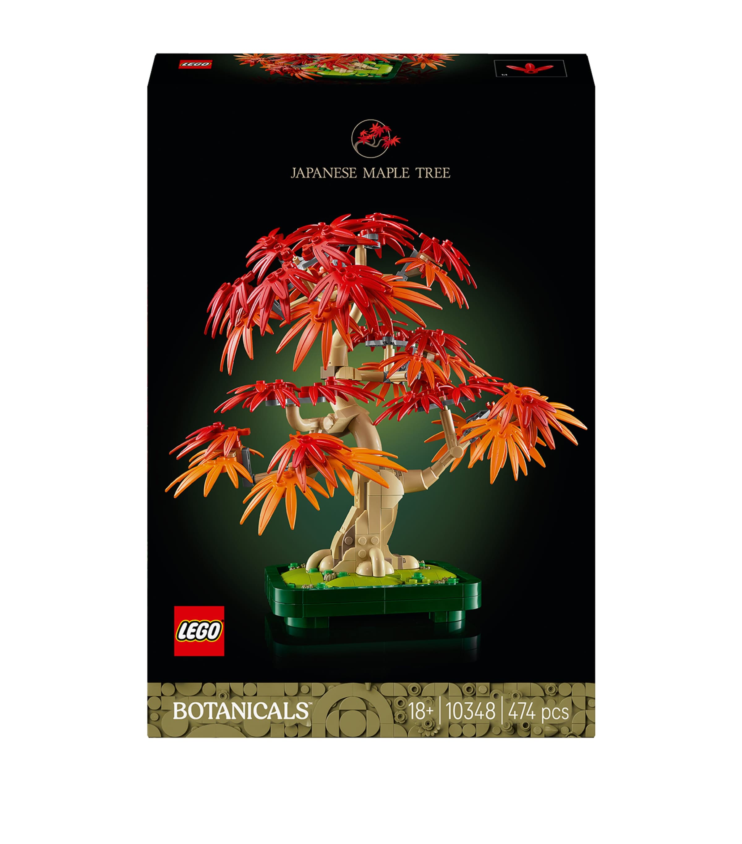 Botanicals Japanese Red Maple Bonsai Tree 10348 MULTI Image 3