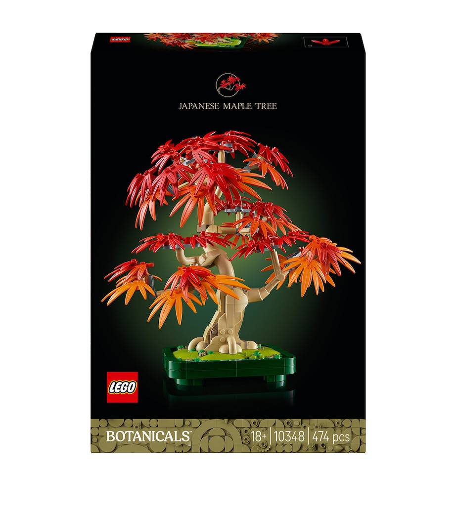 Botanicals Japanese Red Maple Bonsai Tree 10348 MULTI Image 3