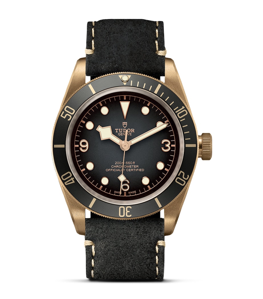 Black Bay Bronze Watch 43mm GREY Image 1