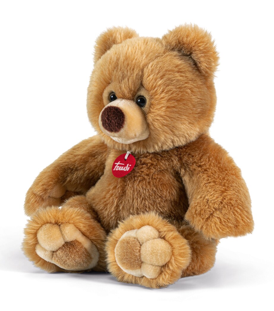 Medium Bear Ettore (38cm) MULTI Image 1