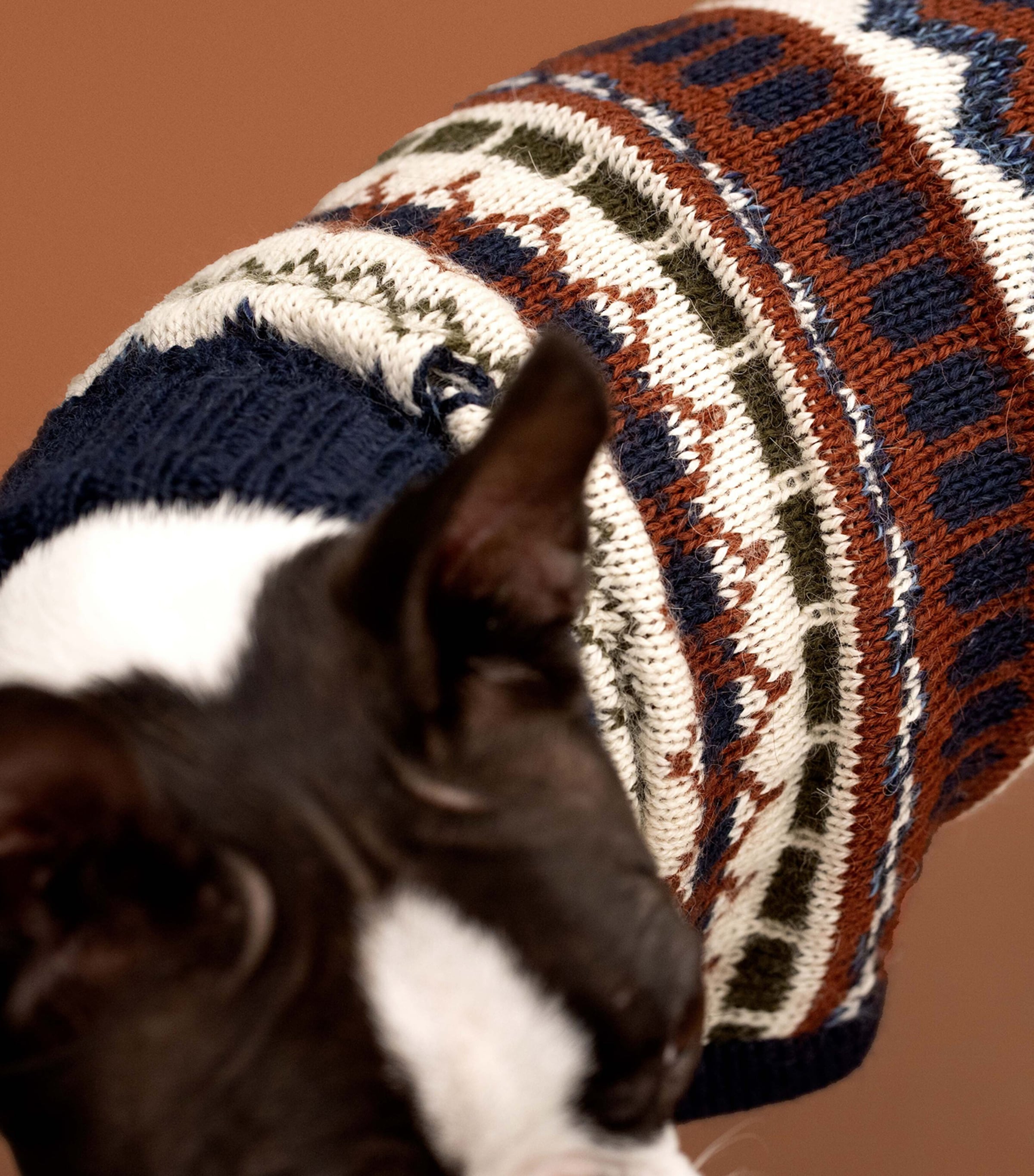 ALQO WASI Iceberg Bleau Melange Dog Sweater (XX-Small) Iceberg Bleu Melange Image 6