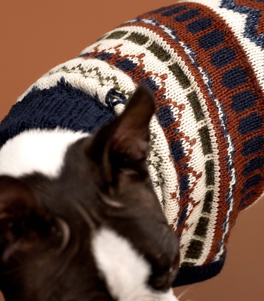 ALQO WASI Iceberg Bleau Melange Dog Sweater (XX-Small) Iceberg Bleu Melange Image 6