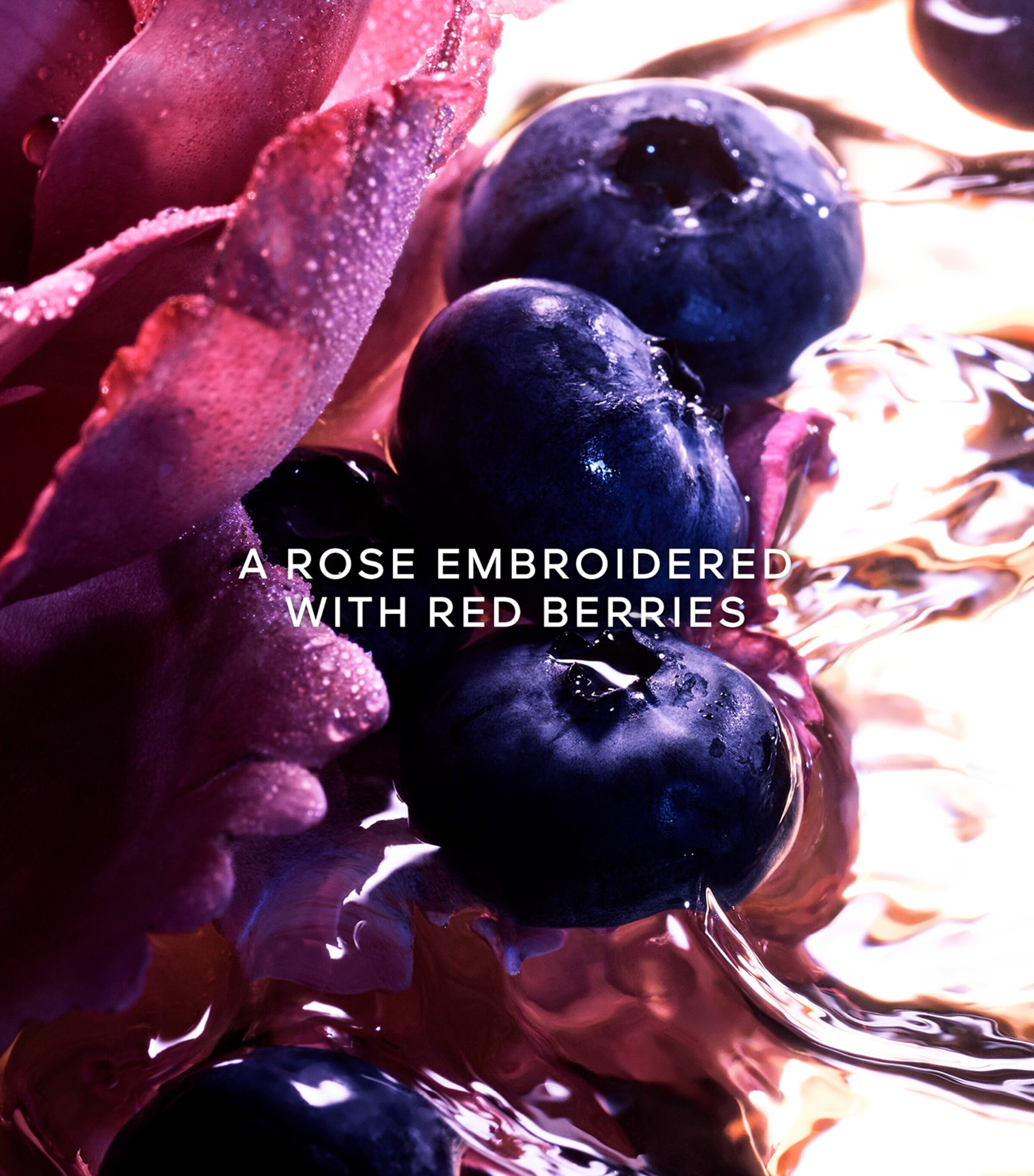 La Petite Robe Noire Eau de Parfum Intense (100ml) NO COLOUR Image 2