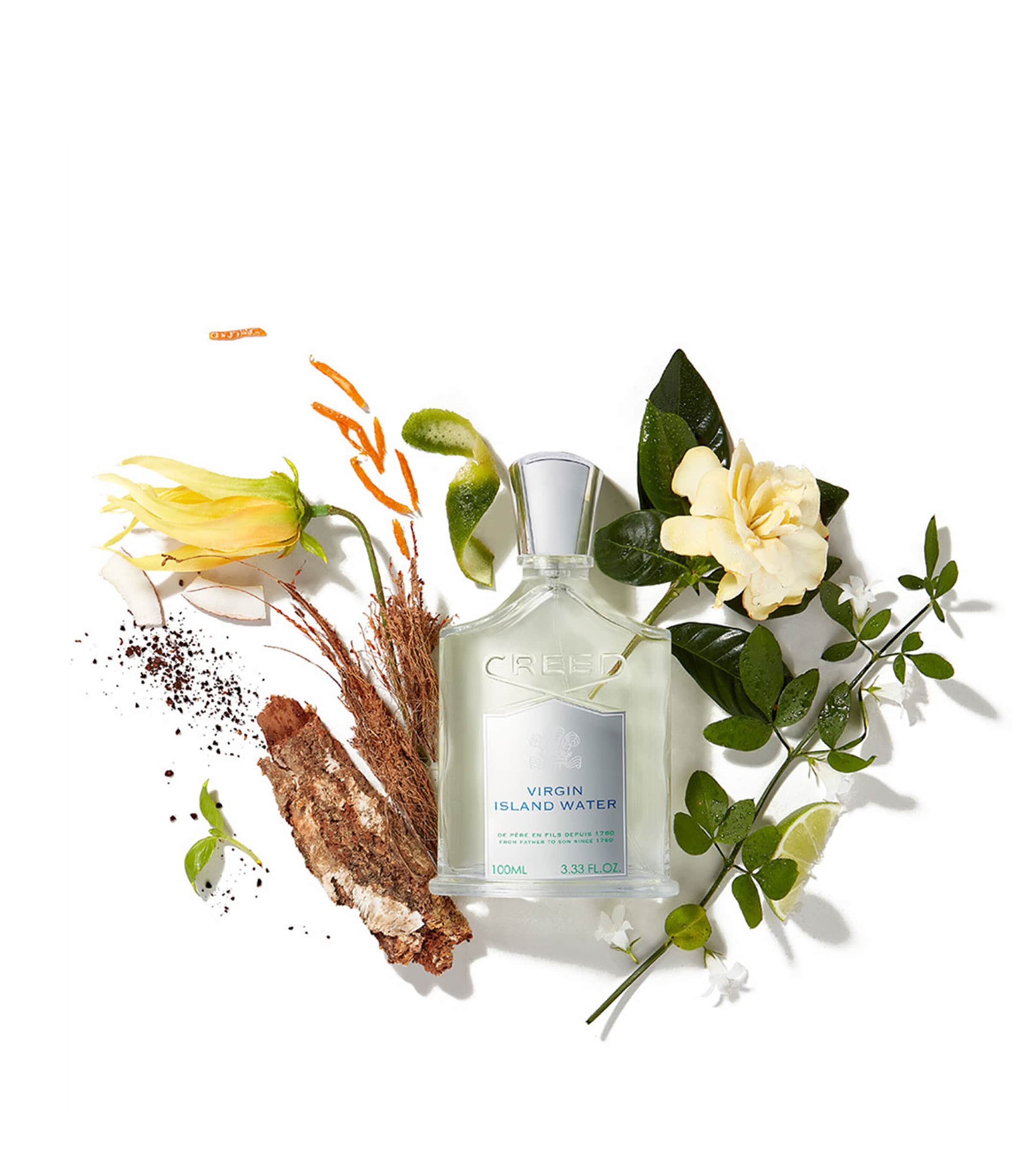 Virgin Island Water Eau de Parfum (100ml) NO COLOUR Image 2