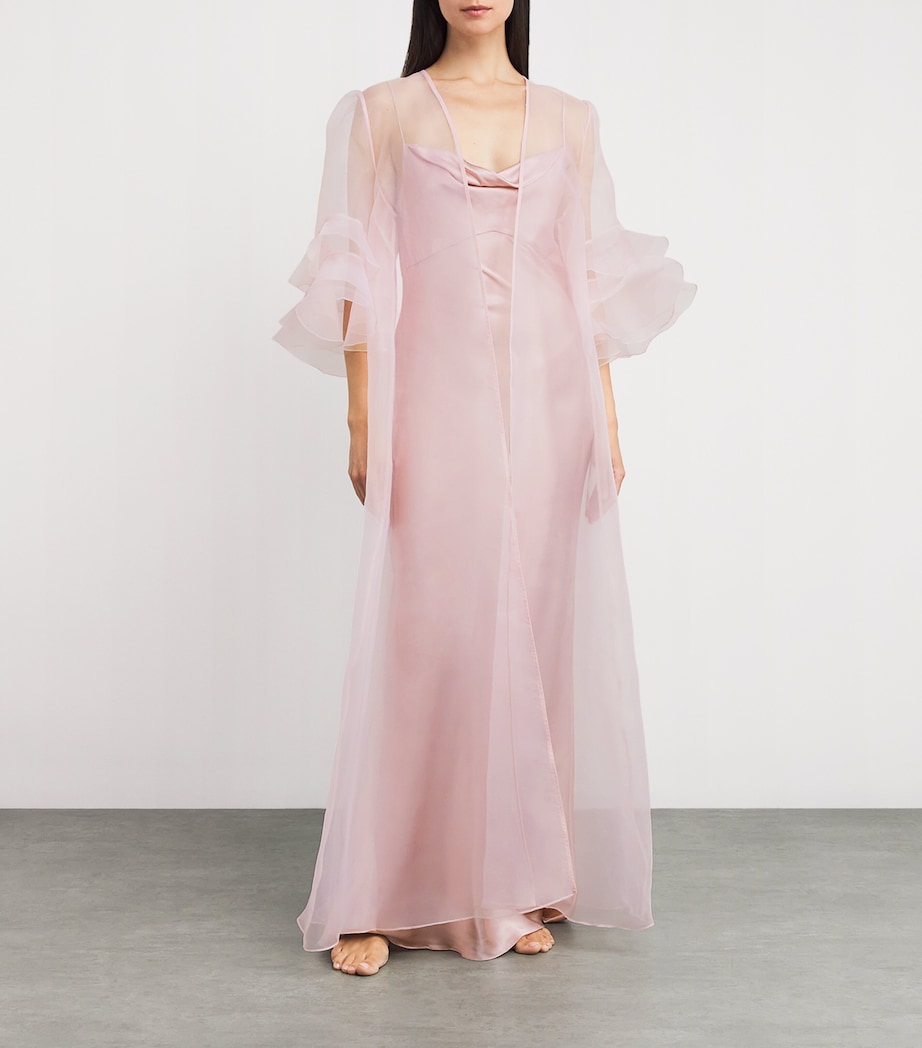Silk Slip Maxi Dress PALE PINK/PALE Image 2