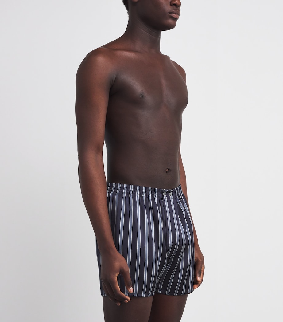 Silk Stripe Traditional Boxer Shorts 123NAV Image 2