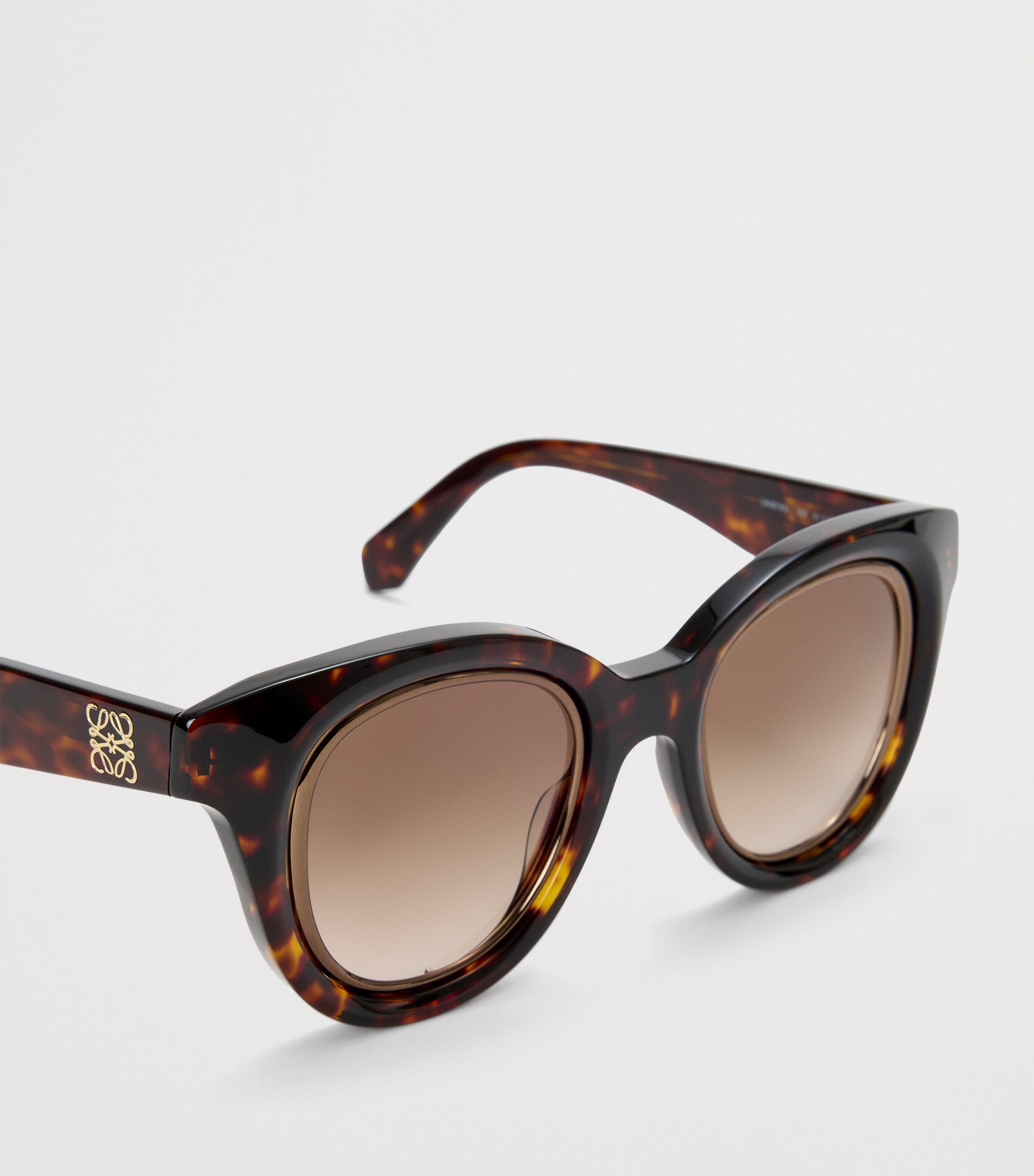 Mini Anagram Butterfly Sunglasses HAVANA Image 4