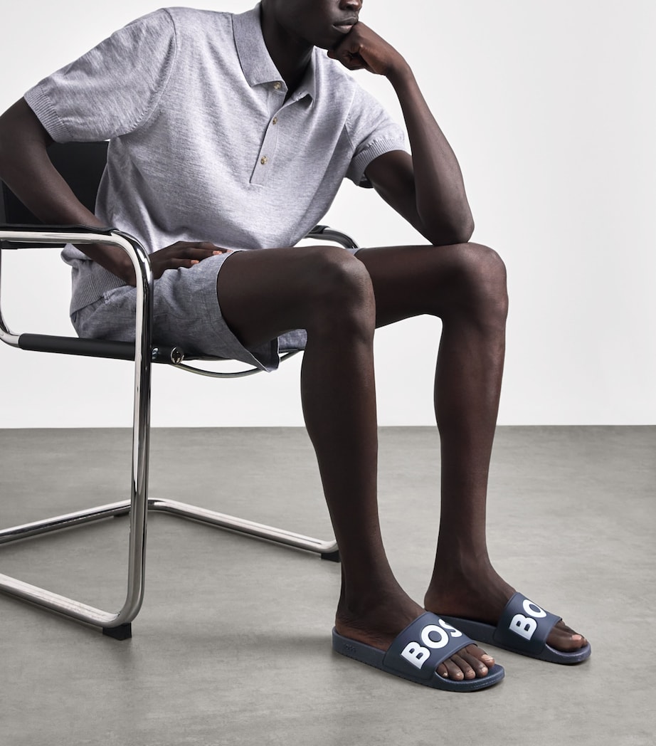 BOSS Logo Slides Dark Blue Image 2