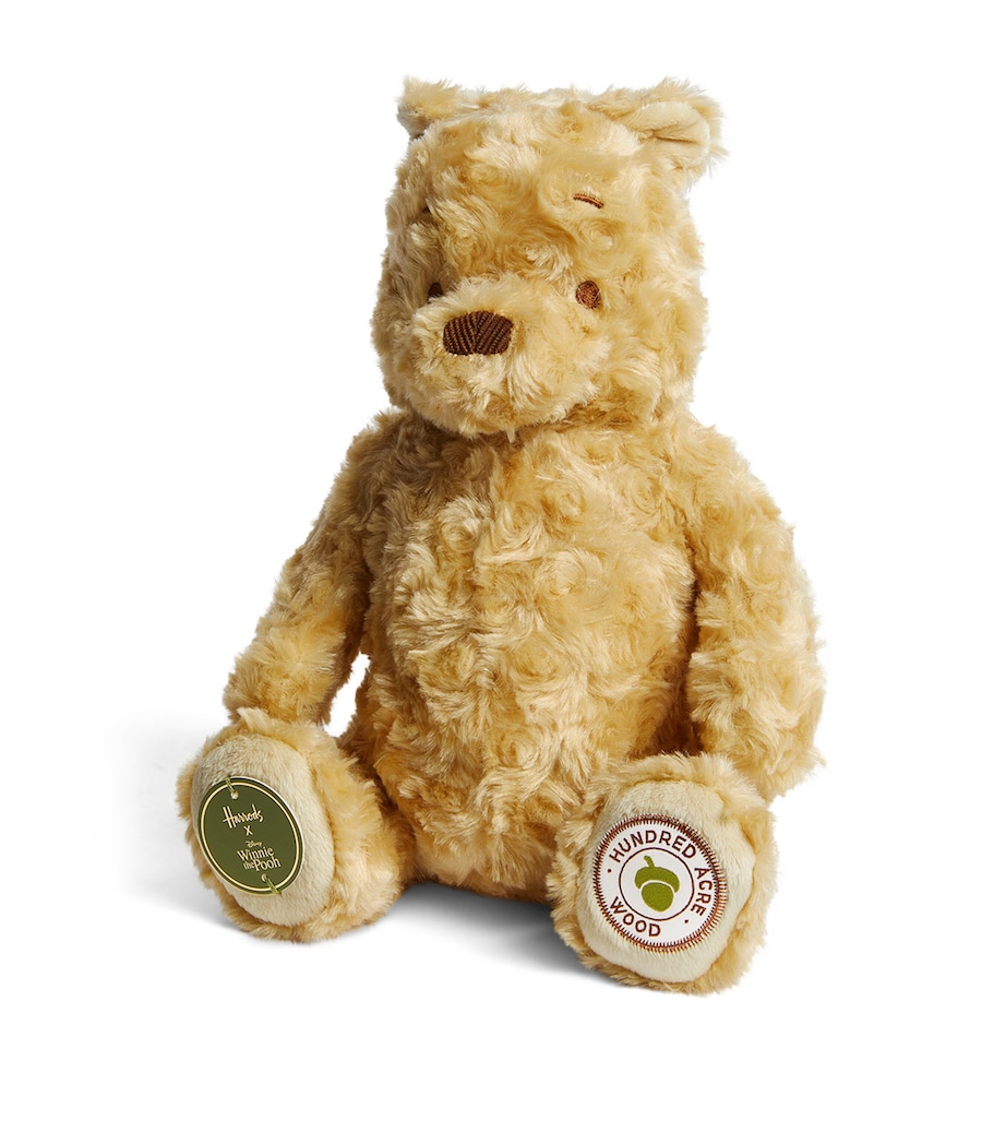 x Disney Winnie The Pooh Teddy Bear (24cm) BROWN Image 2